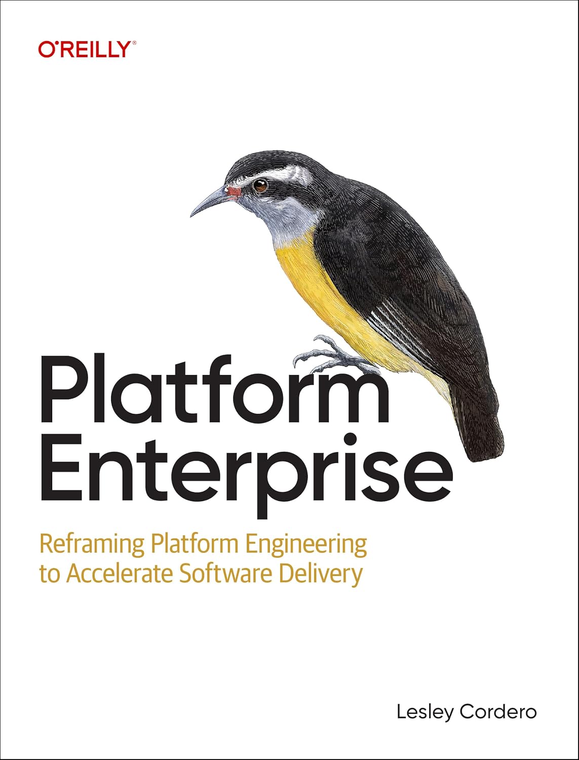 Platform Enterprise: Reframing Platform Engineering to Accelerate Software Delivery cover