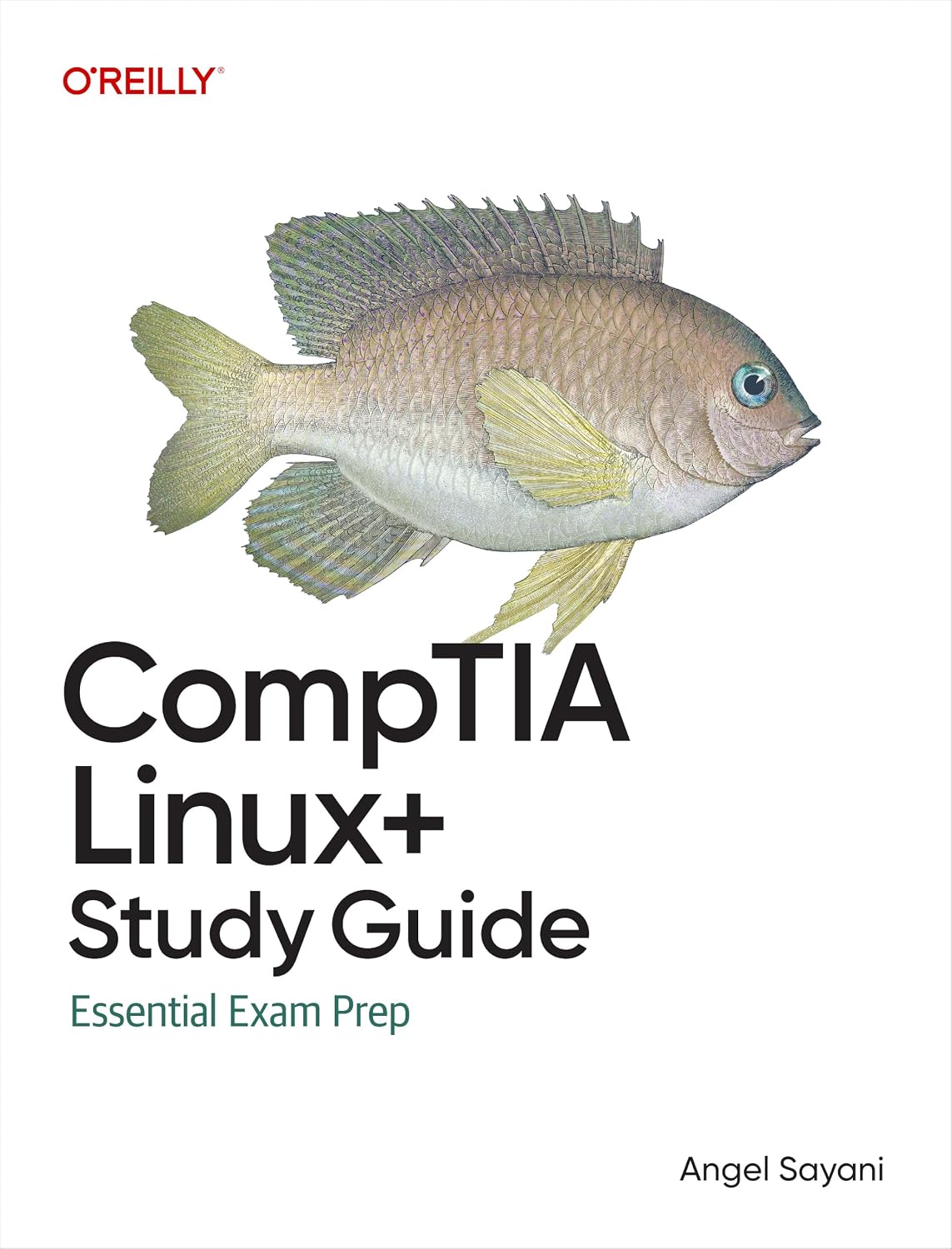 CompTIA Linux+ Study Guide: Essential Exam Prep cover