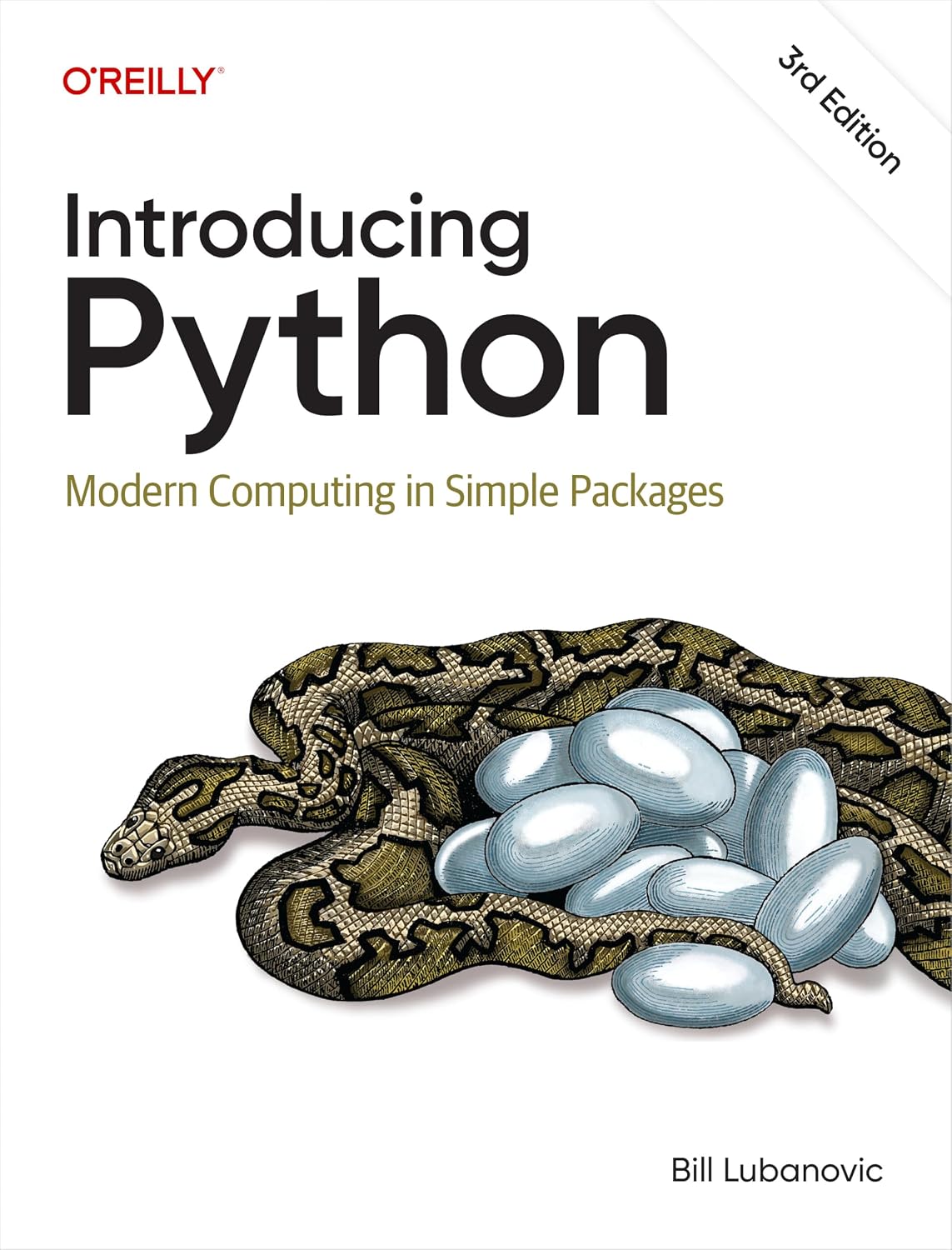 Introducing Python cover
