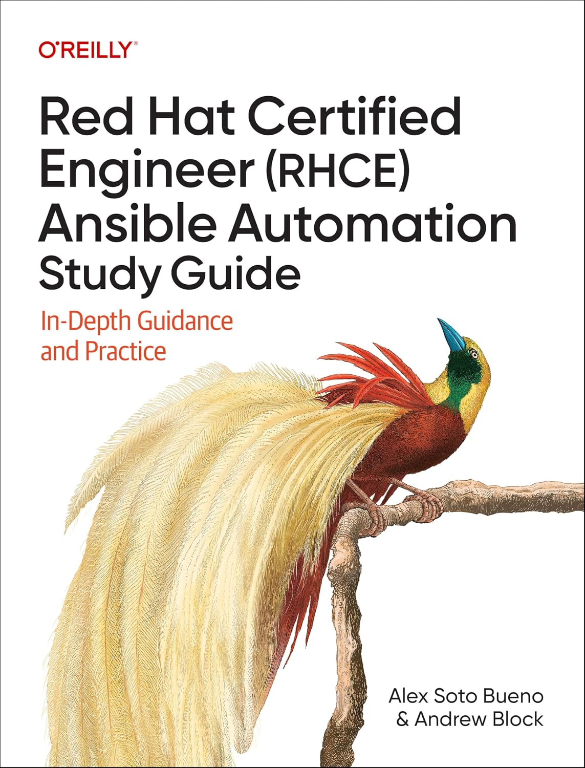 Red Hat Certified Engineer (RHCE) Ansible Automation Study Guide: In-Depth Guidance and Practice cover