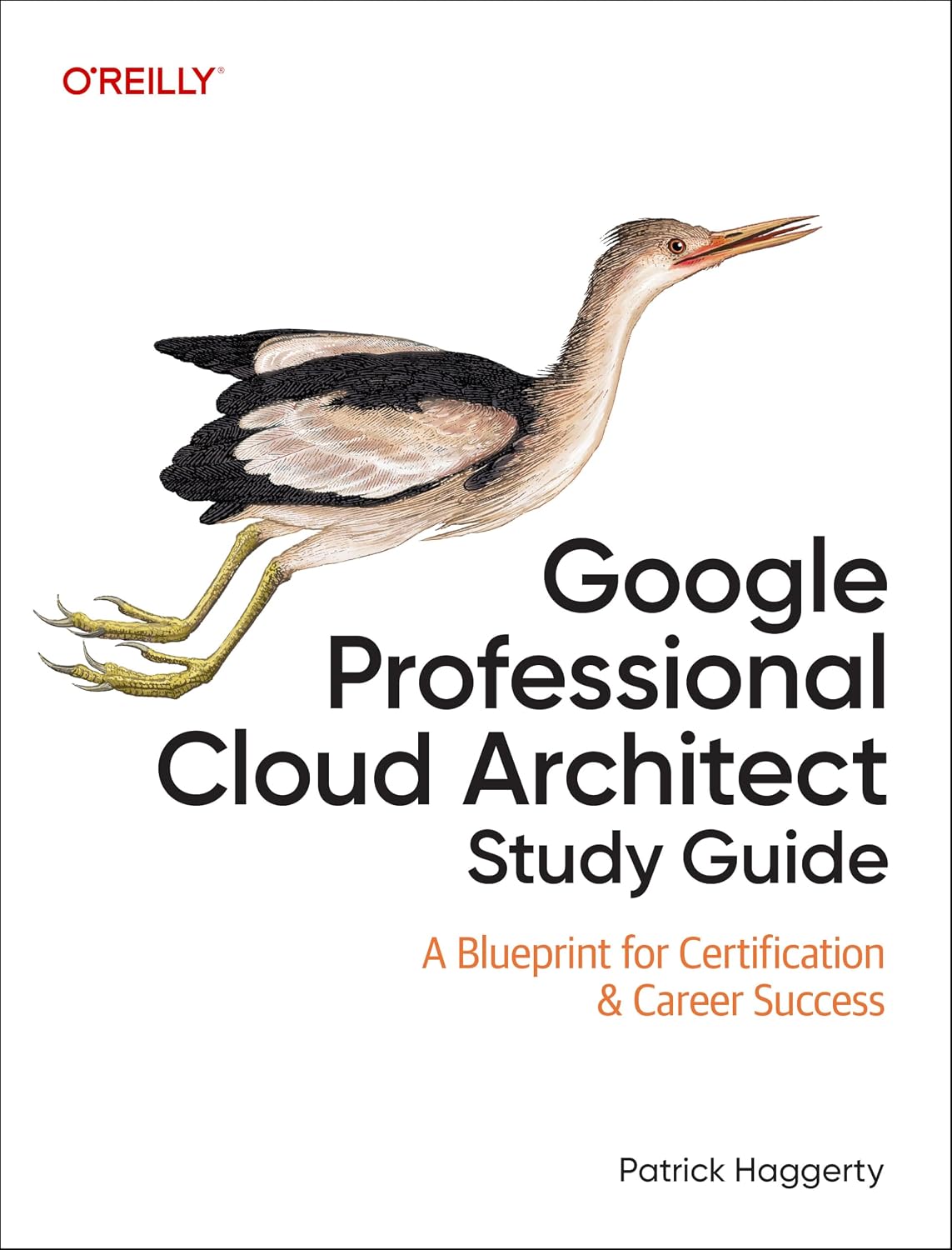 Google Professional Cloud Architect Study Guide: A Blueprint for Certification & Career Success cover