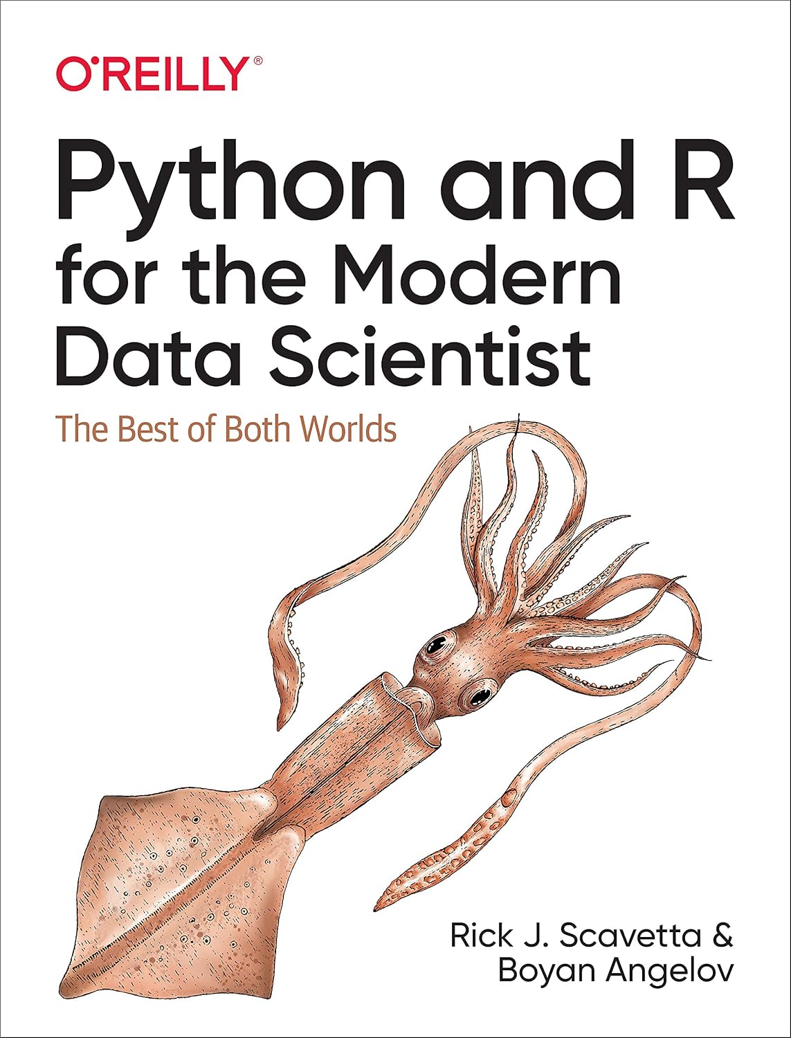 Python and R for the Modern Data Scientist: The Best of Both Worlds cover