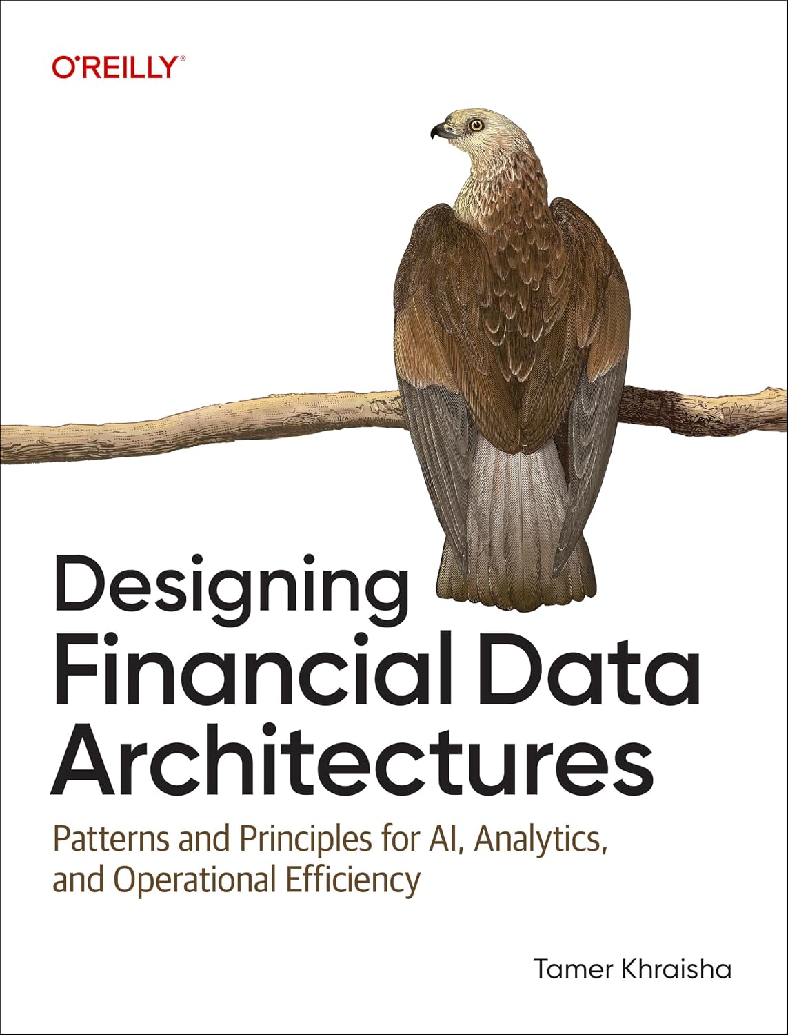 Designing Financial Data Architectures: Patterns and Principles for AI, Analytics, and Operational Efficiency cover
