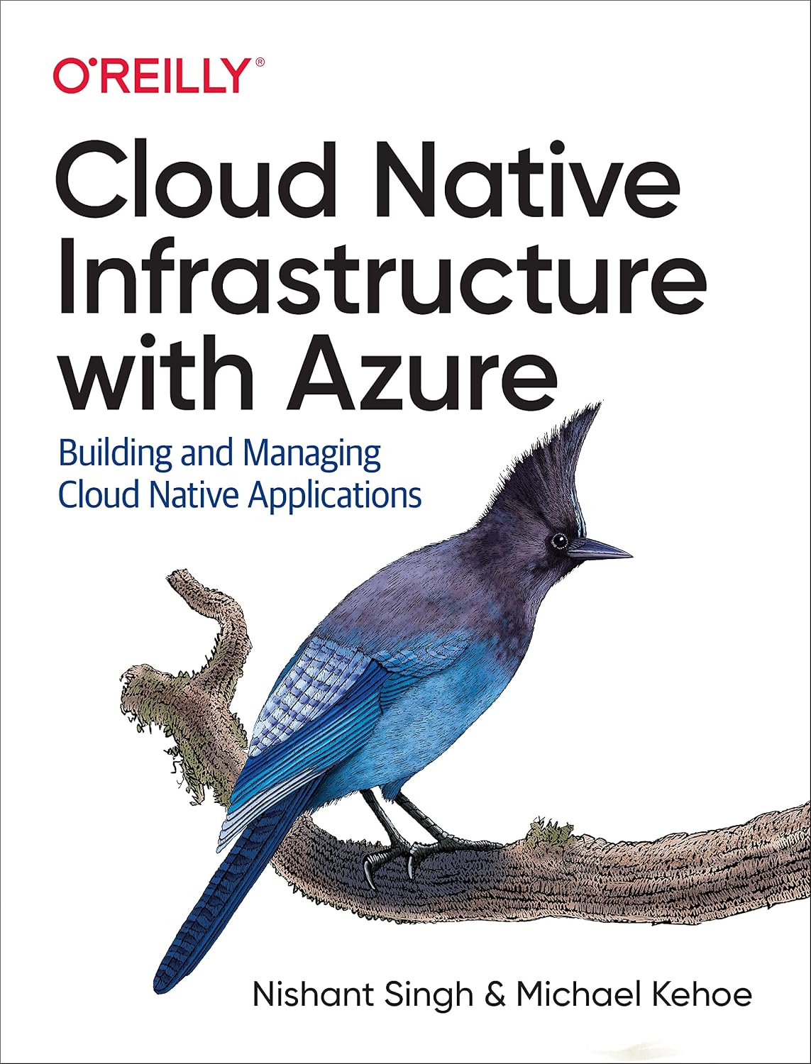 Cloud Native Infrastructure with Azure: Building and Managing Cloud Native Applications cover
