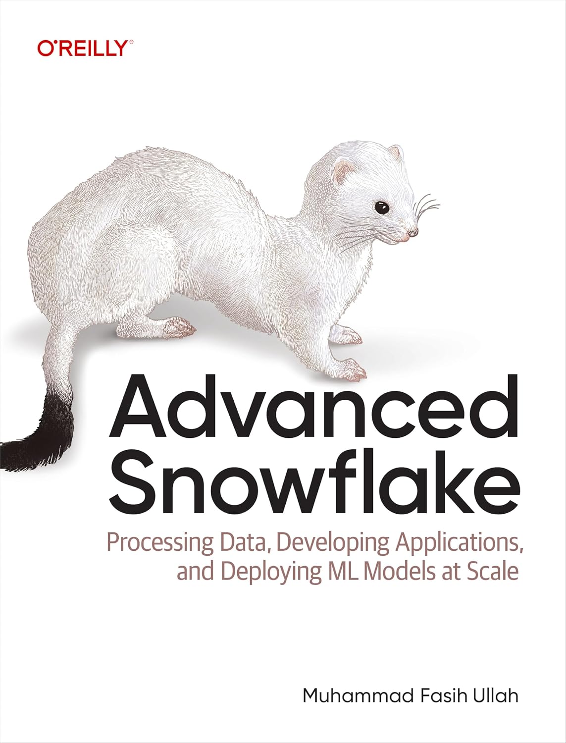 Advanced Snowflake cover