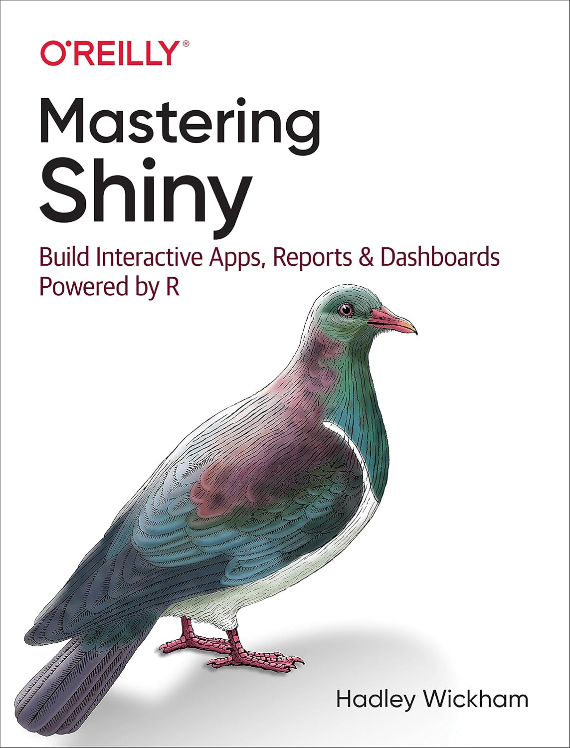 Mastering Shiny: Build Interactive Apps, Reports, and Dashboards Powered by R cover