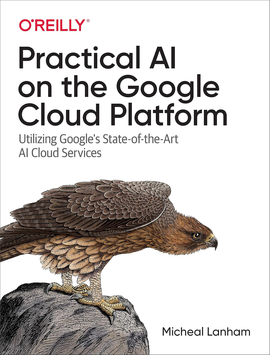 Practical AI on the Google Cloud Platform: Utilizing Google's State-of-the-Art AI Cloud Services cover