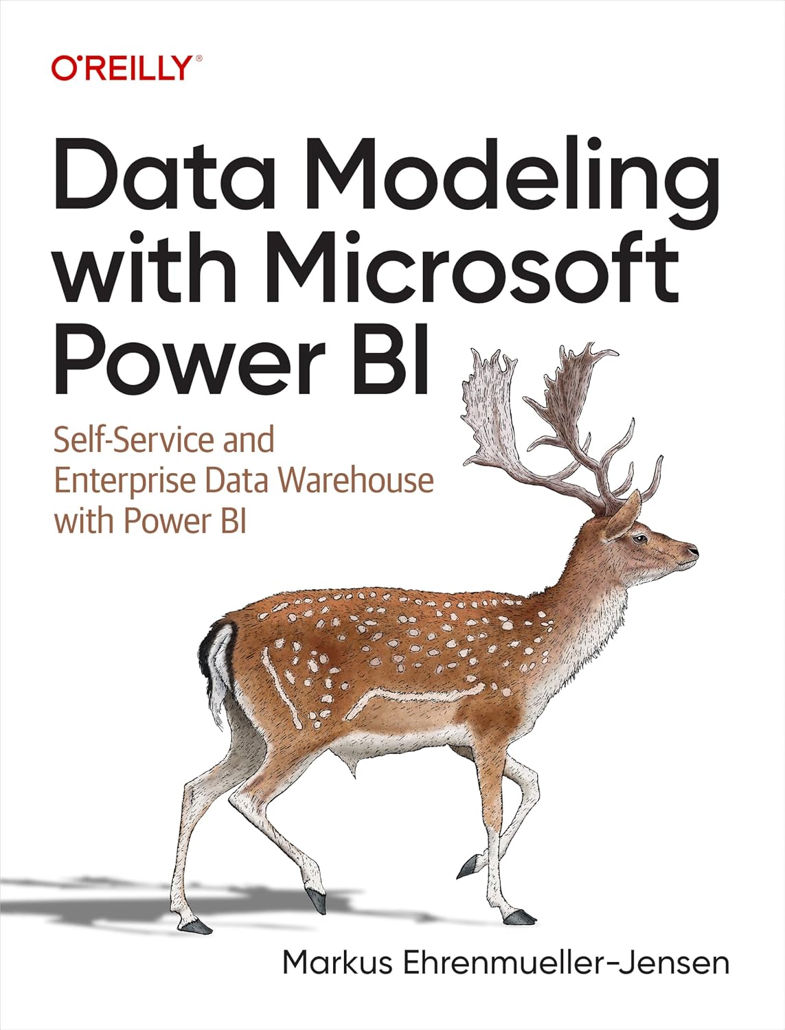 Data Modeling with Microsoft Power BI: Self-Service and Enterprise Data Warehouse with Power BI cover