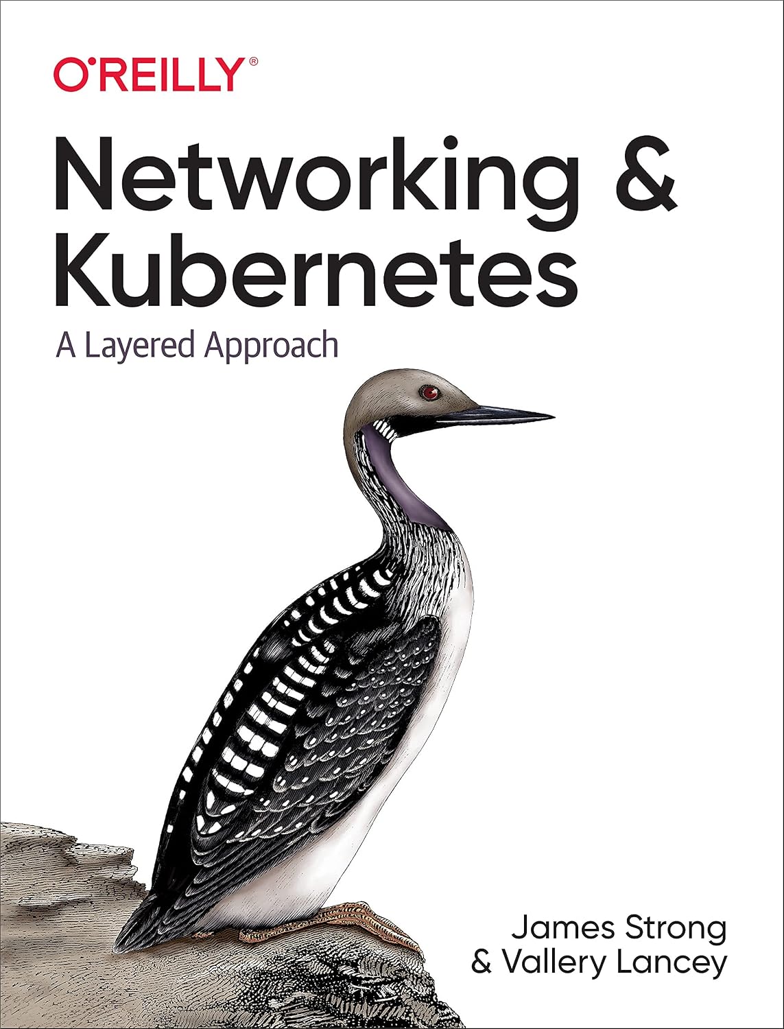 Networking and Kubernetes: A Layered Approach cover
