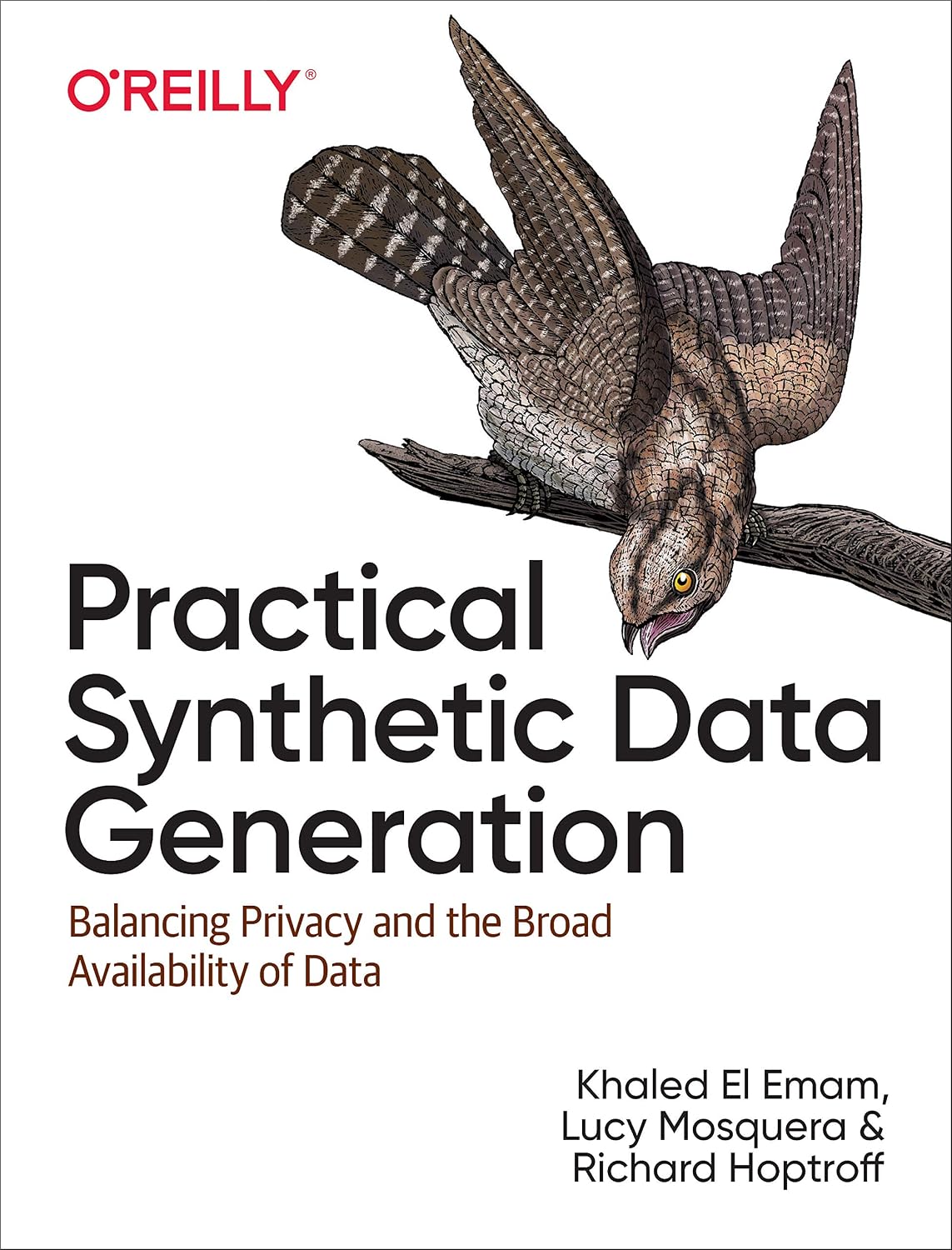 Practical Synthetic Data Generation: Balancing Privacy and the Broad Availability of Data cover