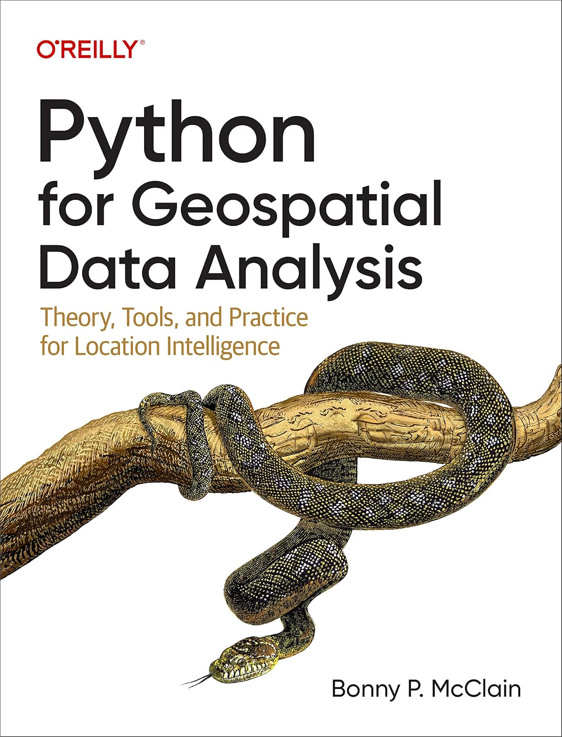 Python for Geospatial Data Analysis: Theory, Tools, and Practice for Location Intelligence cover