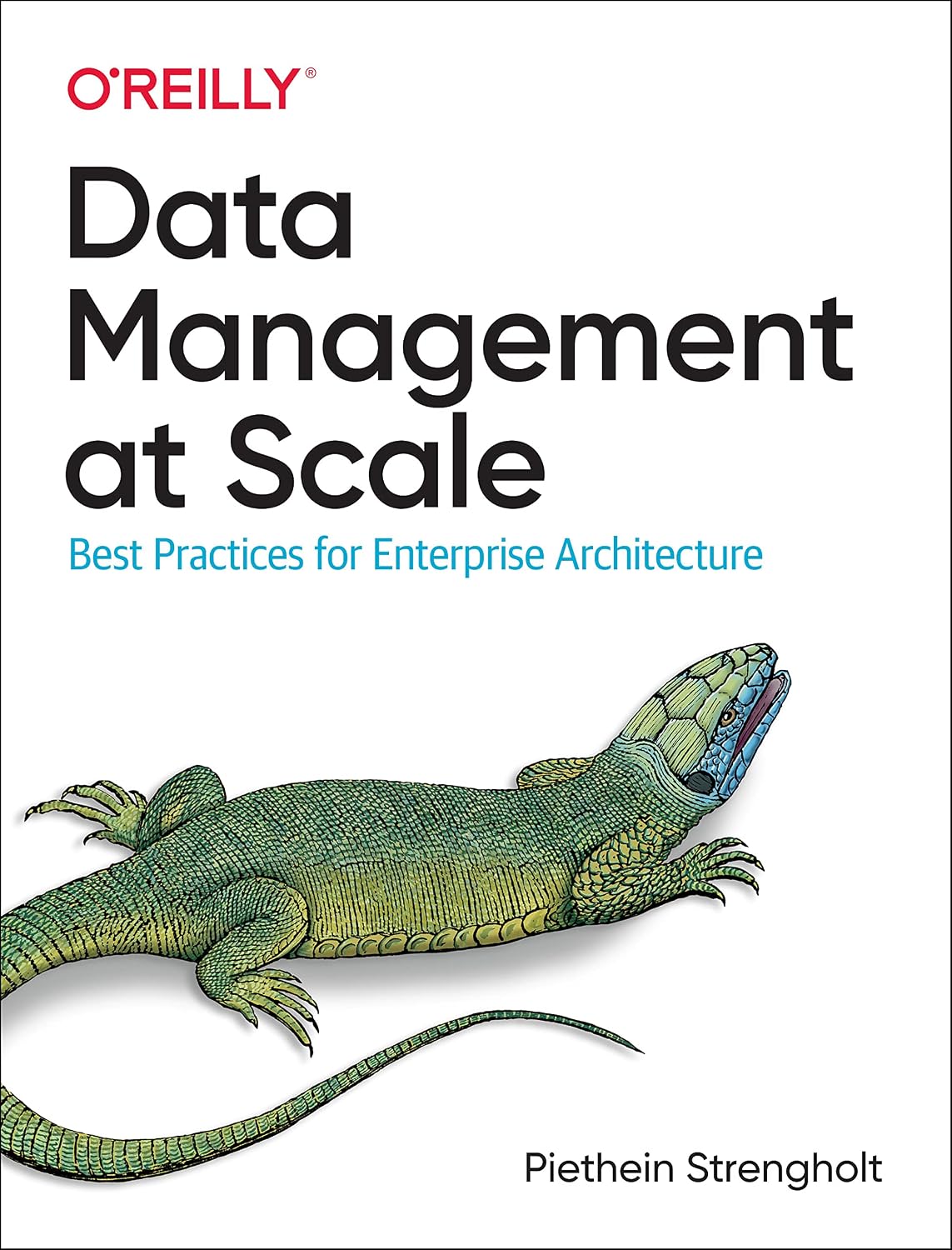 Data Management at Scale: Best Practices for Enterprise Architecture cover