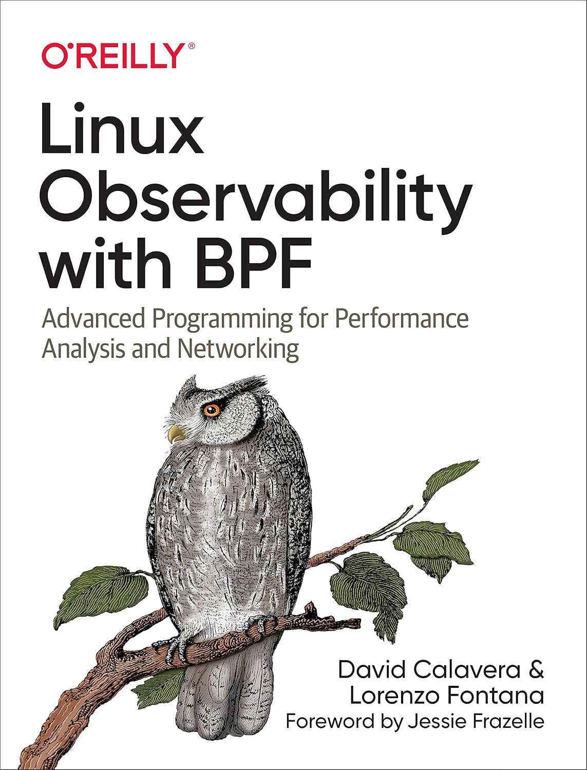 Linux Observability with BPF: Advanced Programming for Performance Analysis and Networking cover