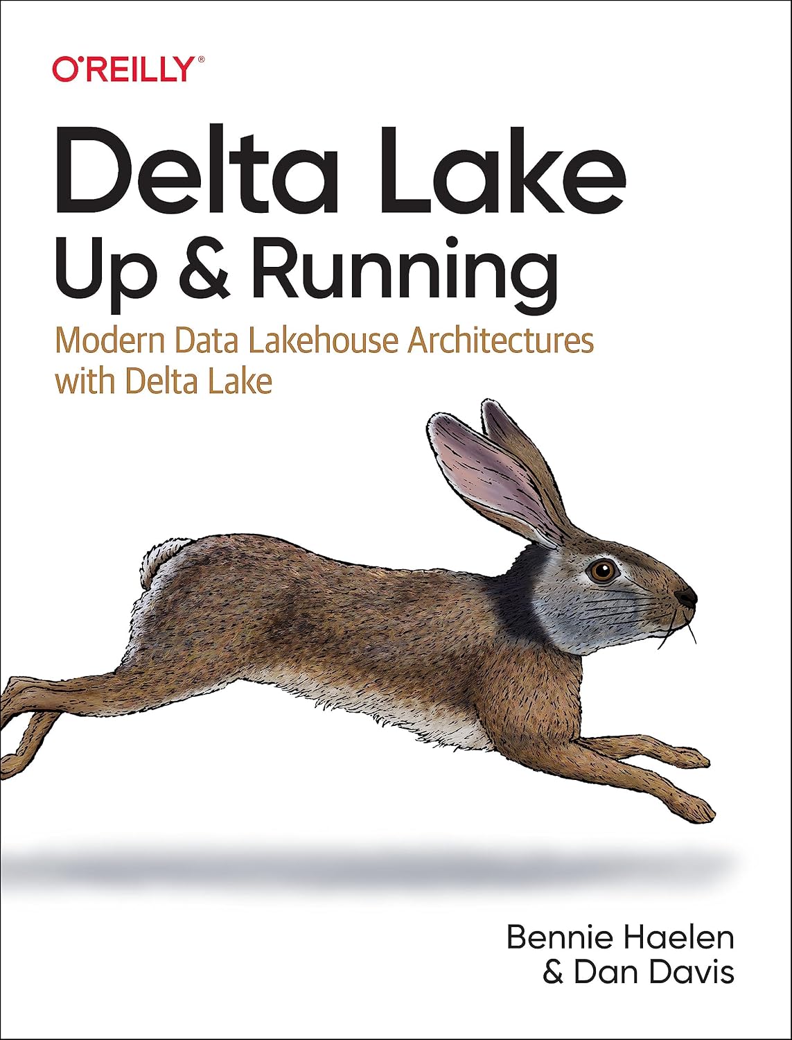 Delta Lake: Up and Running: Modern Data Lakehouse Architectures with Delta Lake cover