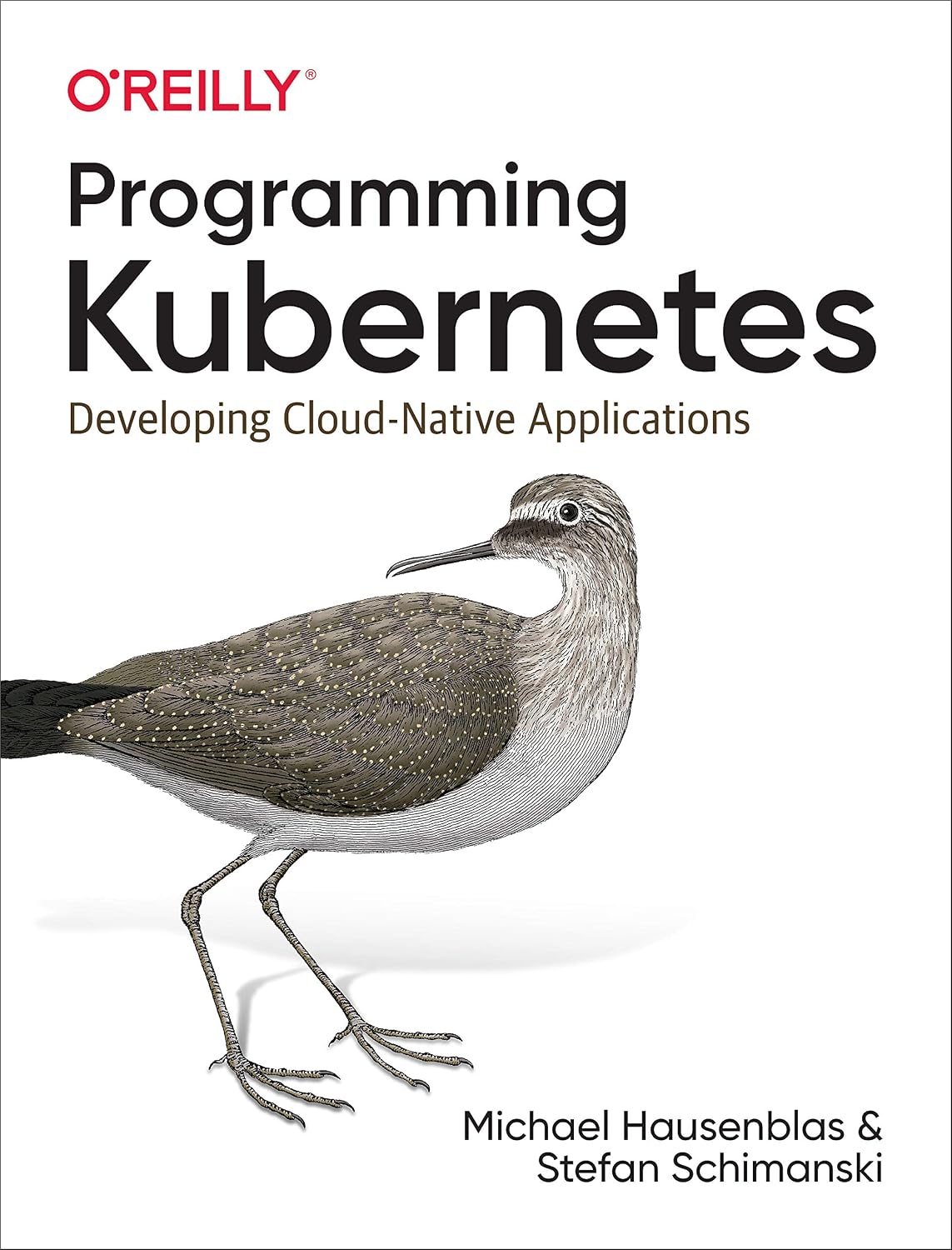 Programming Kubernetes: Developing Cloud-Native Applications cover