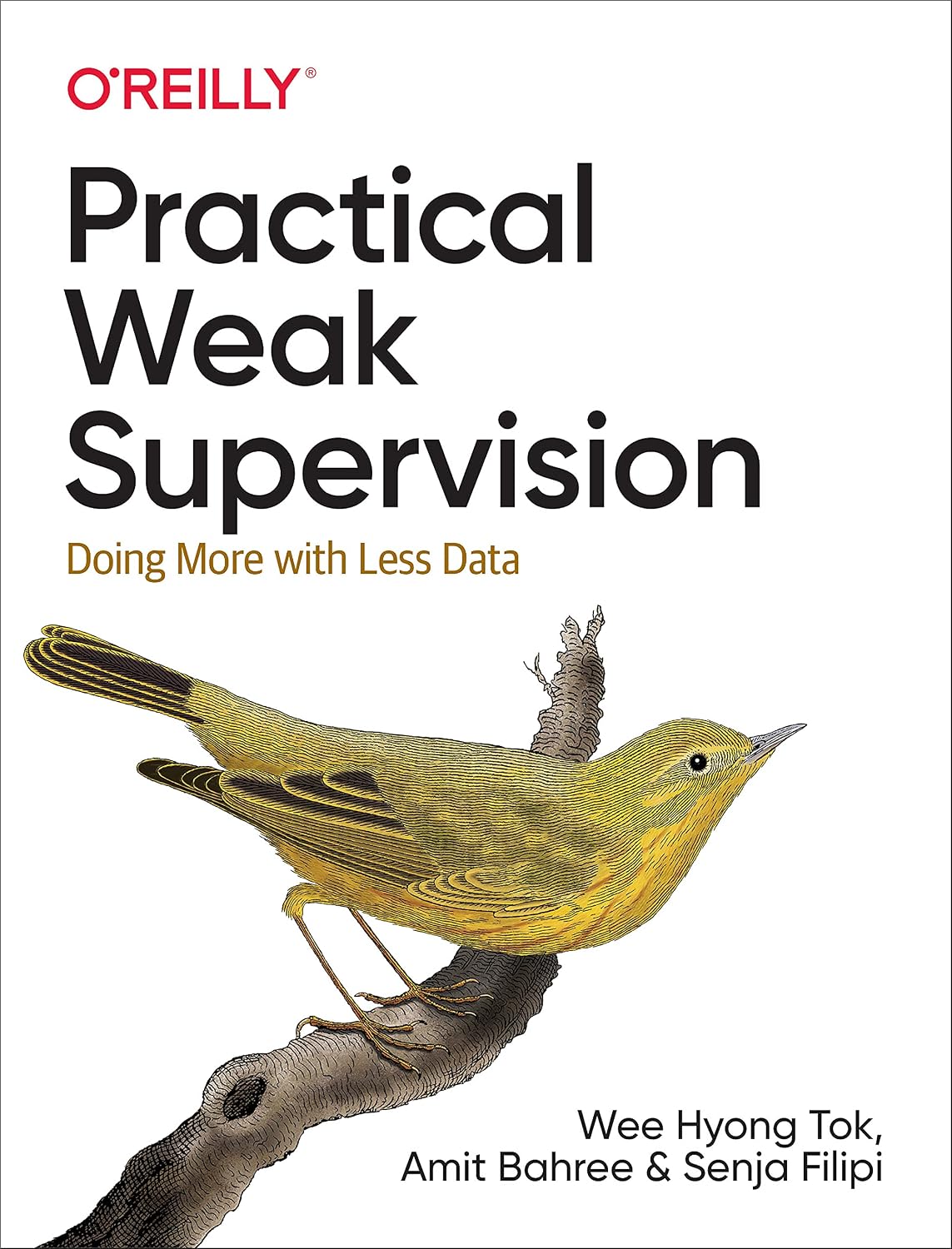 Practical Weak Supervision: Doing More with Less Data cover