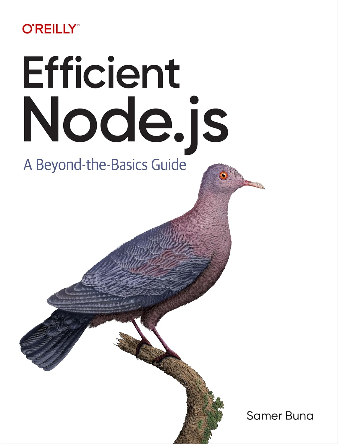 Efficient Node.js: A Beyond-the-Basics Guide cover