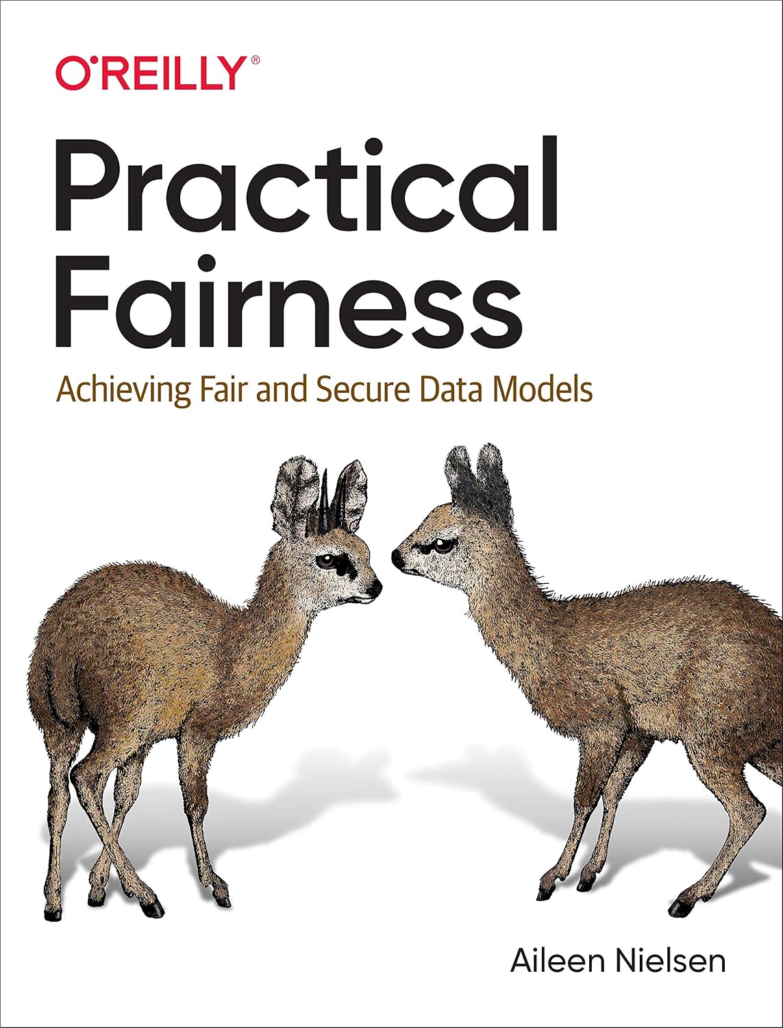 Practical Fairness: Achieving Fair and Secure Data Models cover