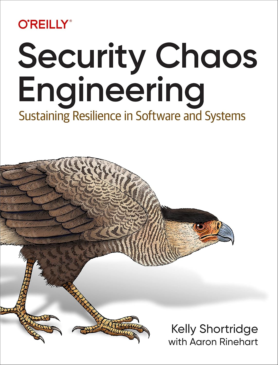 Security Chaos Engineering: Sustaining Resilience in Software and Systems cover