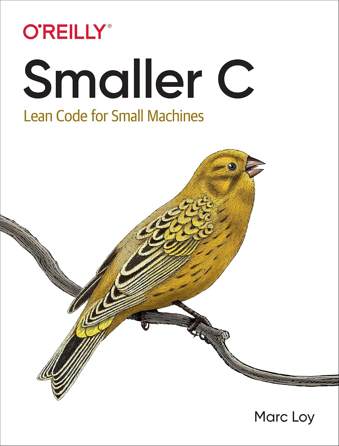 Smaller C: Lean Code for Small Machines cover