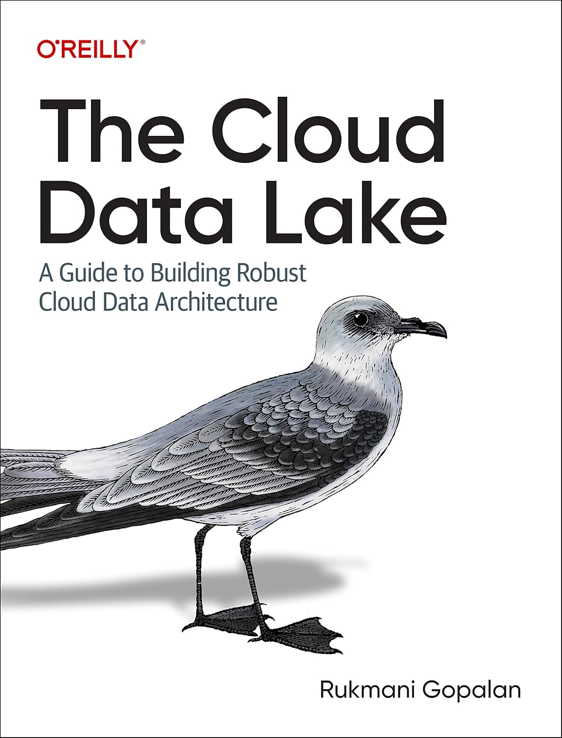The Cloud Data Lake: A Guide to Building Robust Cloud Data Architecture cover