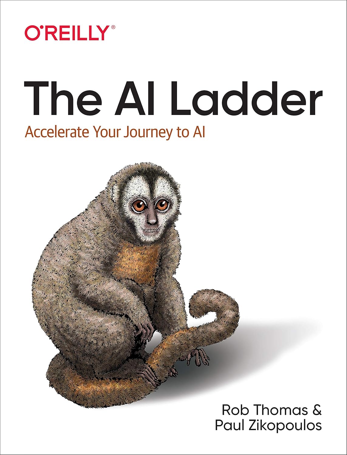 The AI Ladder: Accelerate Your Journey to AI cover