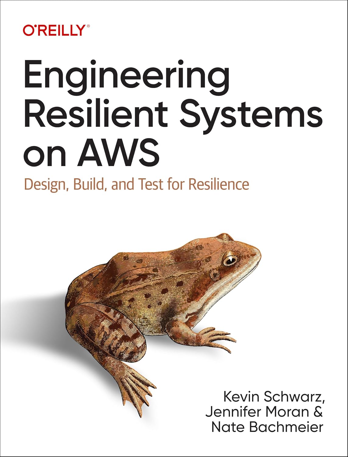 Engineering Resilient Systems on AWS: Design, Build, and Test for Resilience cover