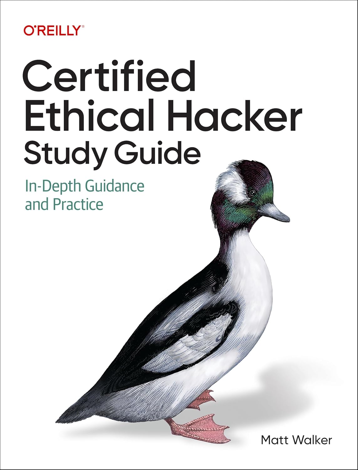 Certified Ethical Hacker (CEH) Study Guide: In-Depth Guidance and Practice cover