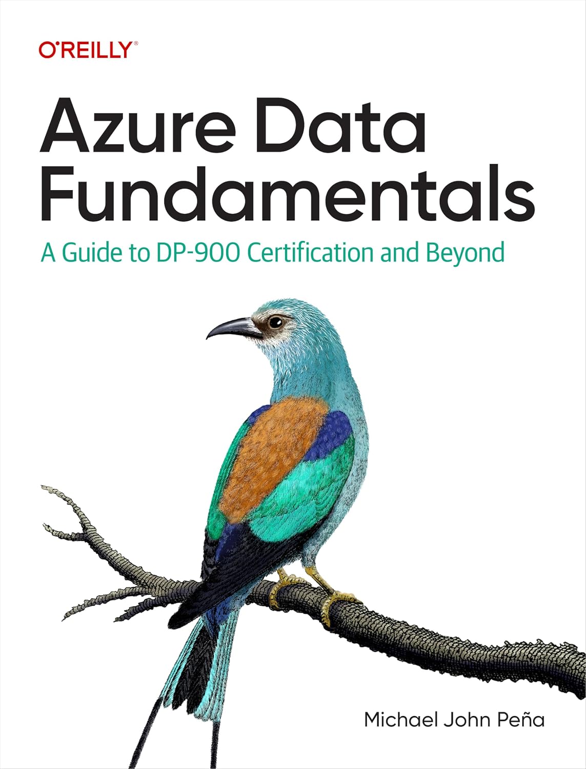 Azure Data Fundamentals: A Guide to DP-900 Certification and Beyond cover