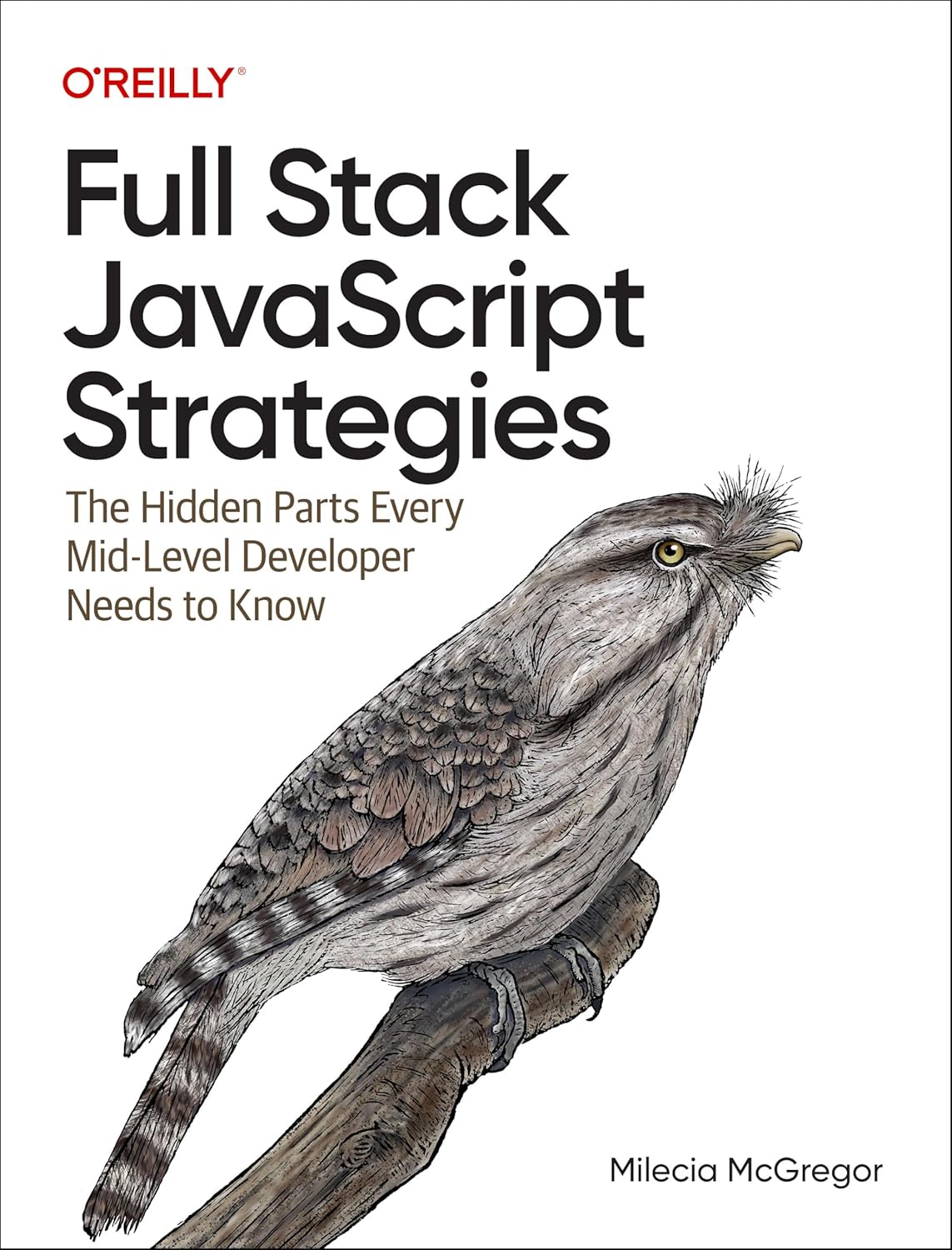 Full Stack JavaScript Strategies: The Hidden Parts Every Mid-Level Developer Needs to Know cover