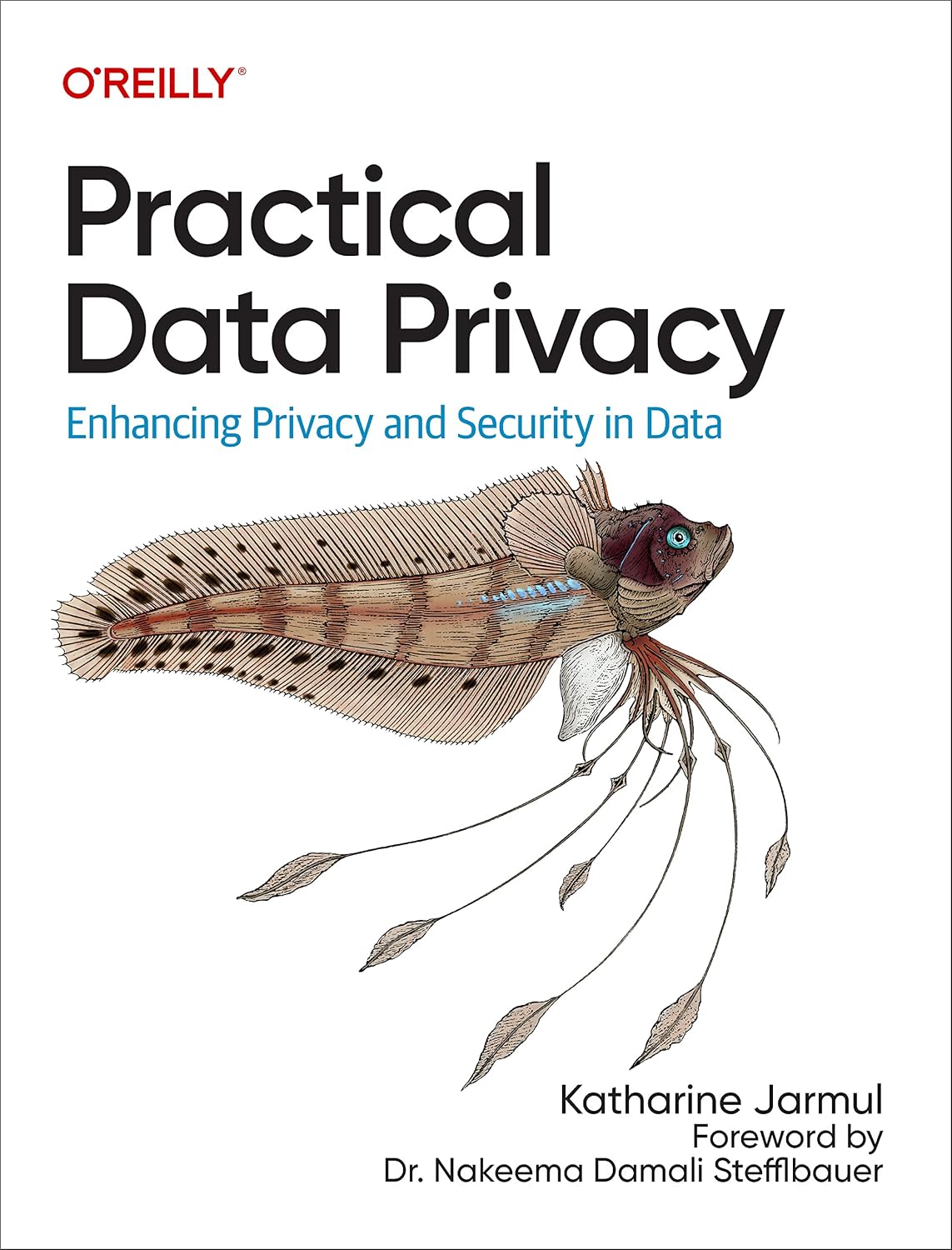 Practical Data Privacy cover