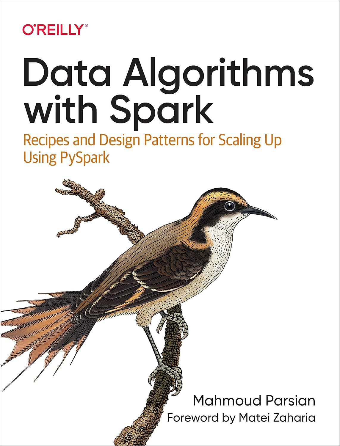 Data Algorithms with Spark: Recipes and Design Patterns for Scaling Up using PySpark cover