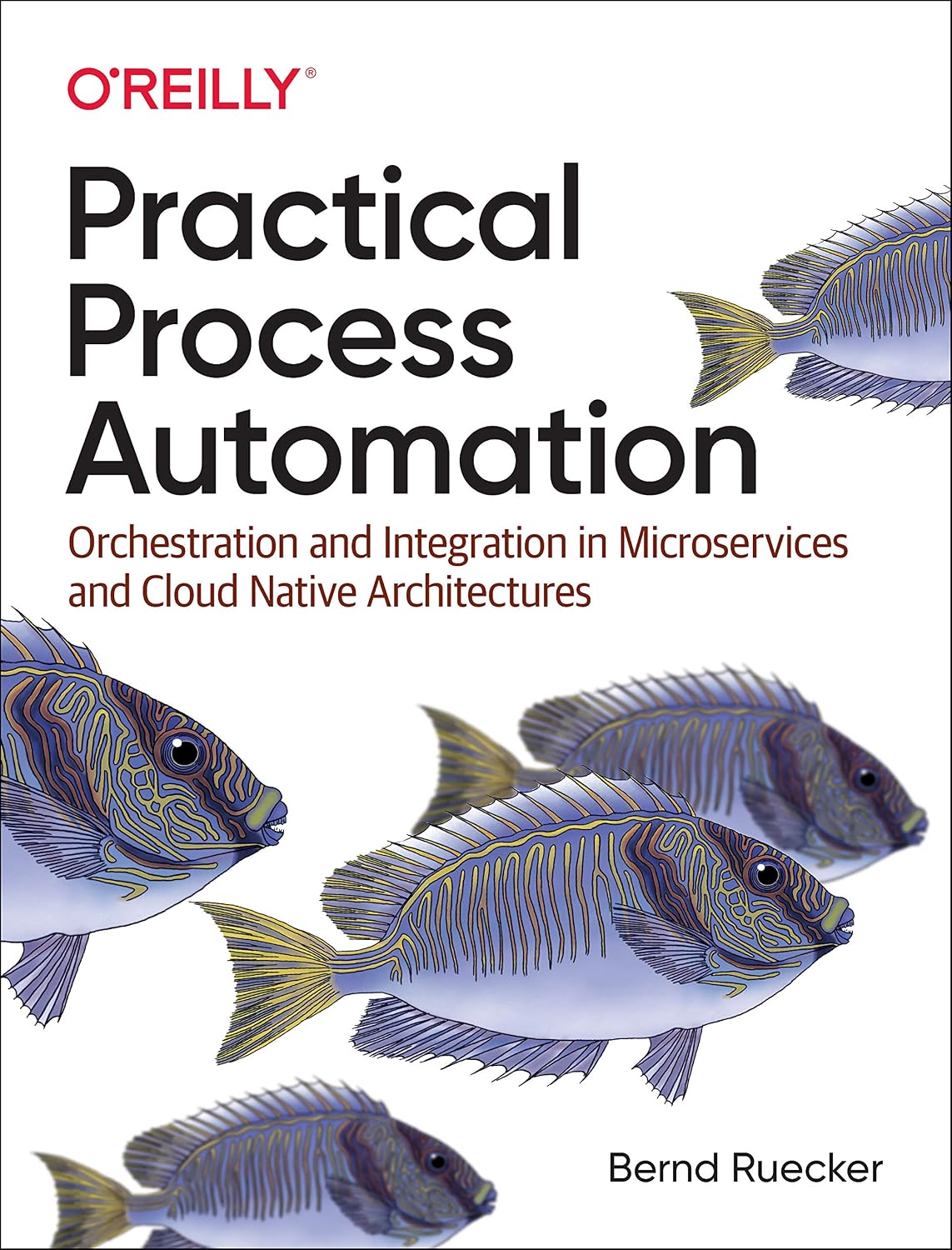 Practical Process Automation: Orchestration and Integration in Microservices and Cloud Native Architectures cover