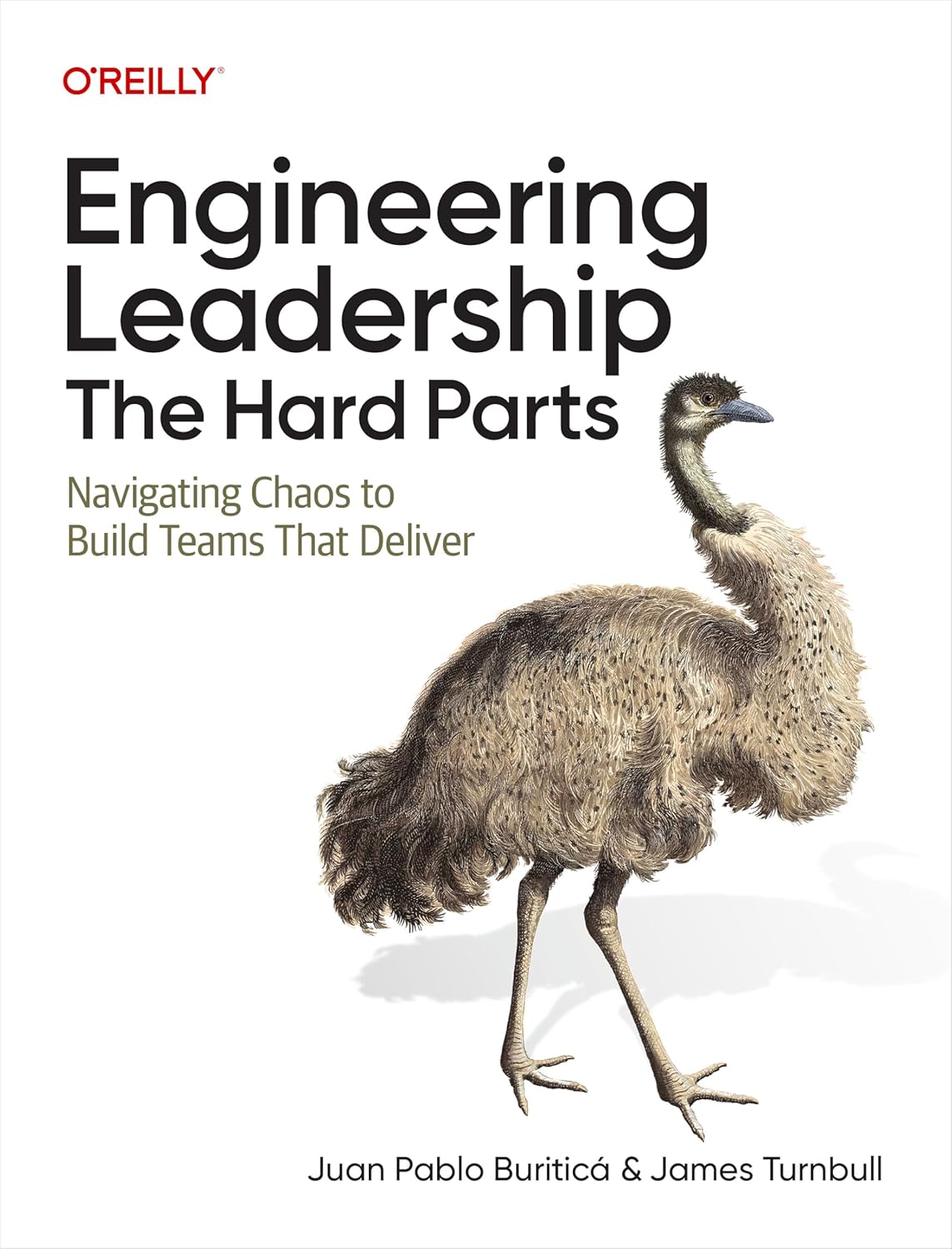 Engineering Leadership: The Hard Parts: Navigating Chaos to Build Teams That Deliver cover