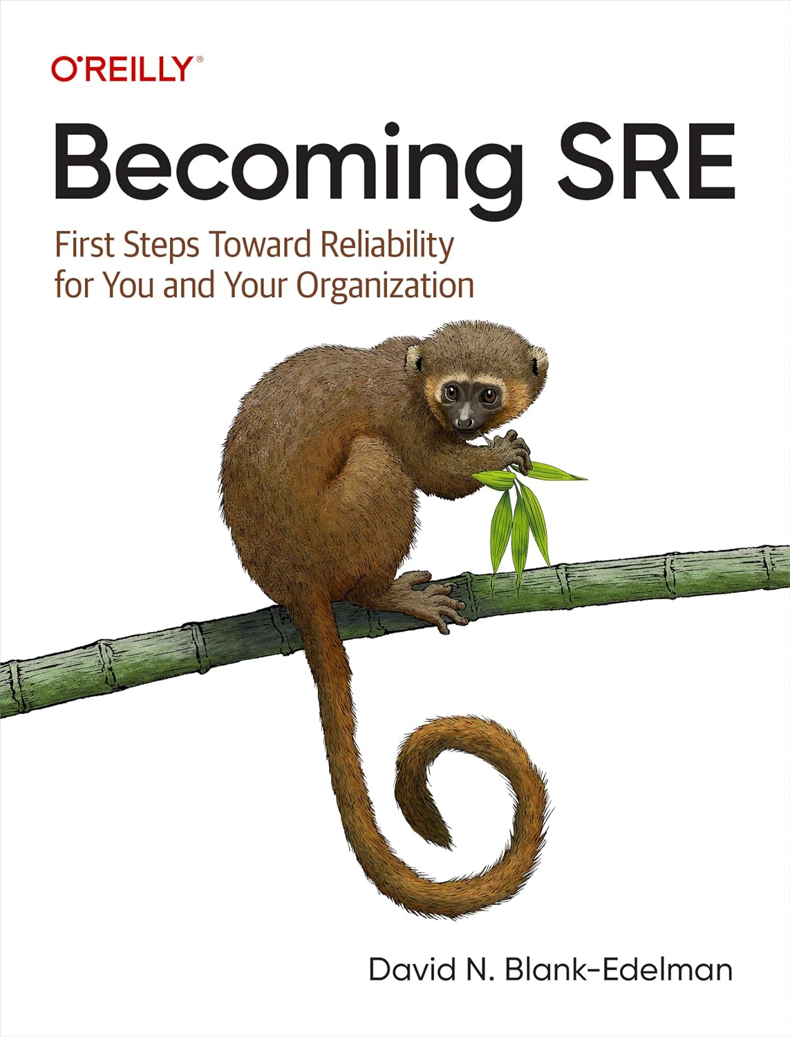 Becoming SRE: First Steps Toward Reliability for You and Your Organization cover