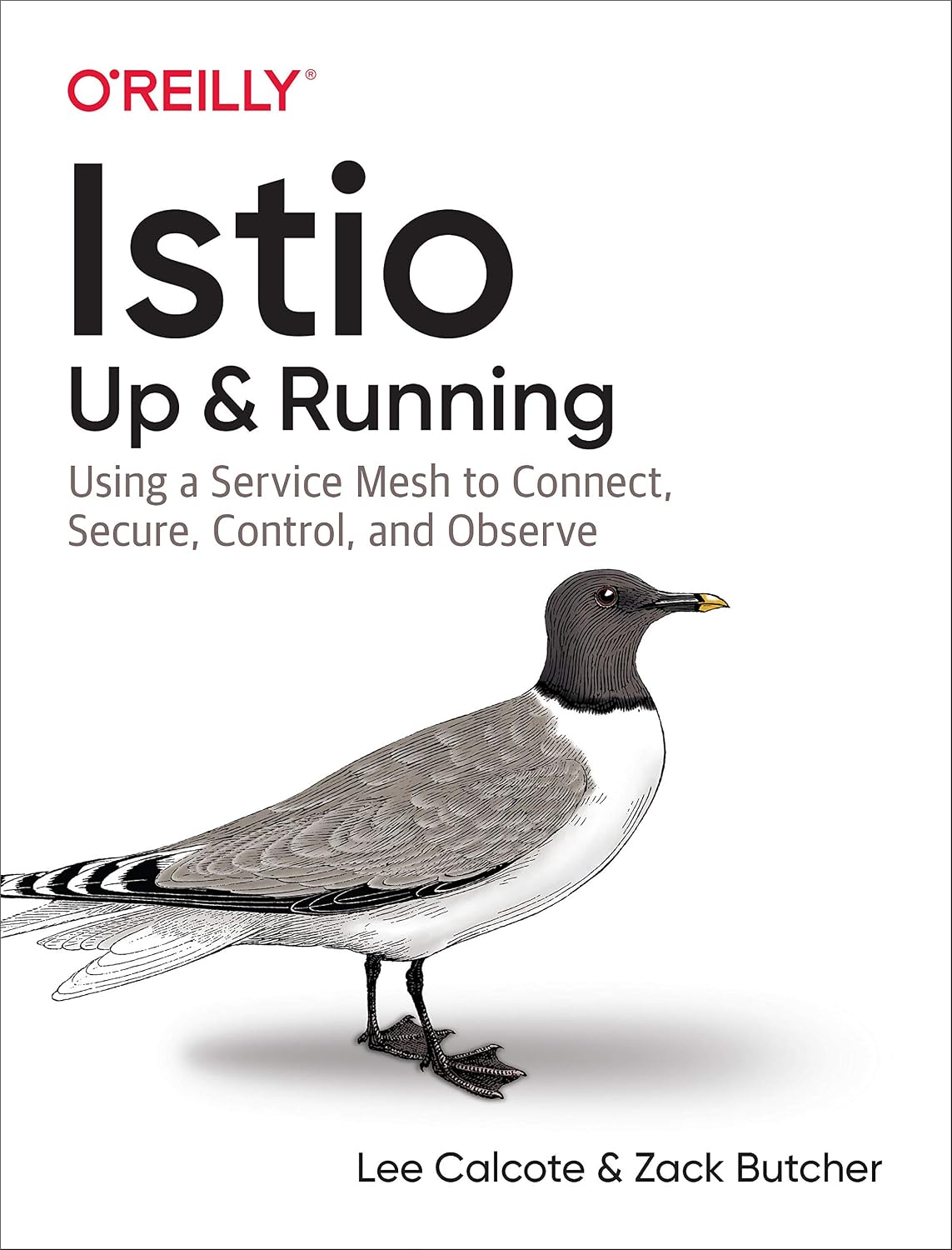 Istio: Up and Running: Using a Service Mesh to Connect, Secure, Control, and Observe cover