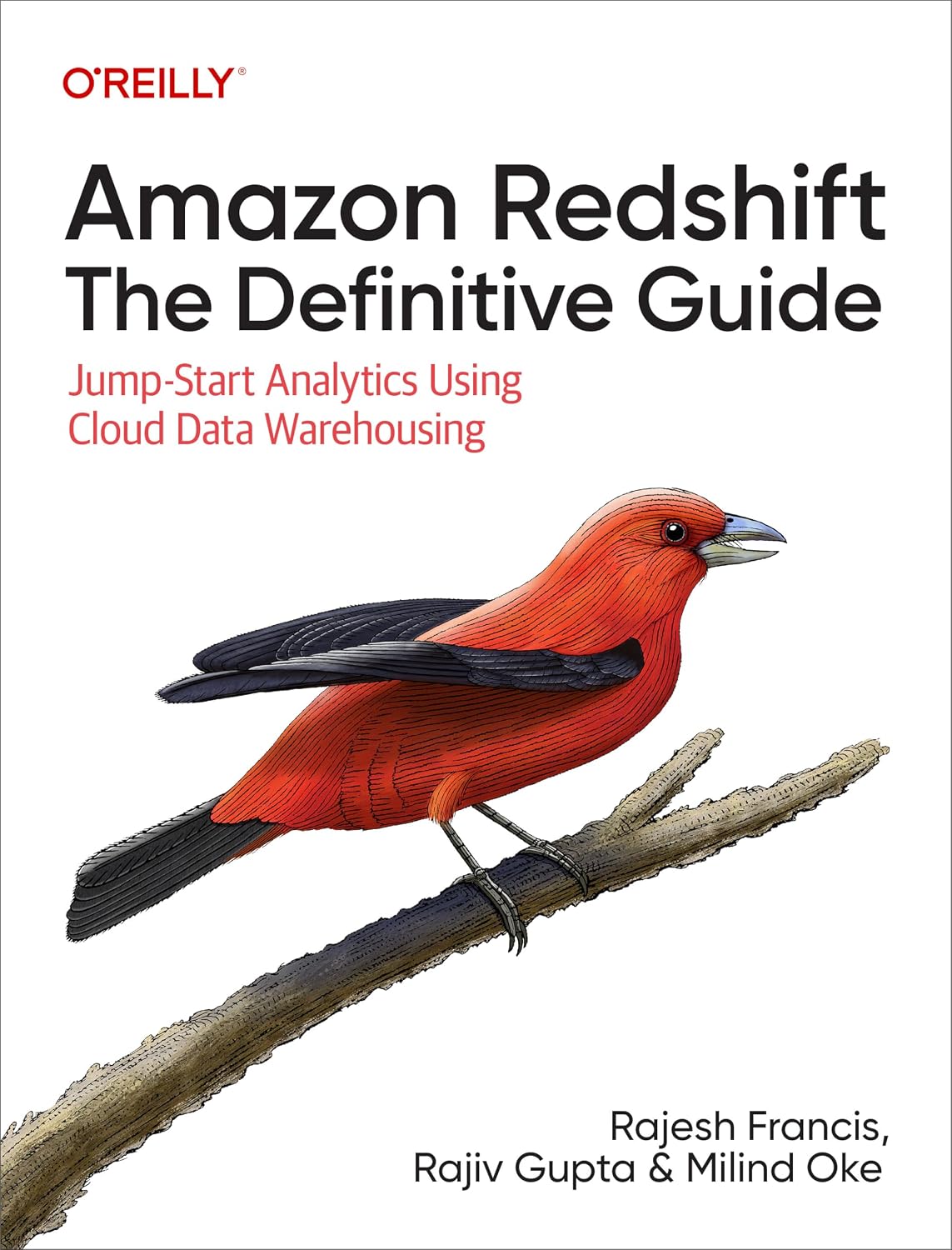 Amazon Redshift: The Definitive Guide: Jump-Start Analytics Using Cloud Data Warehousing cover