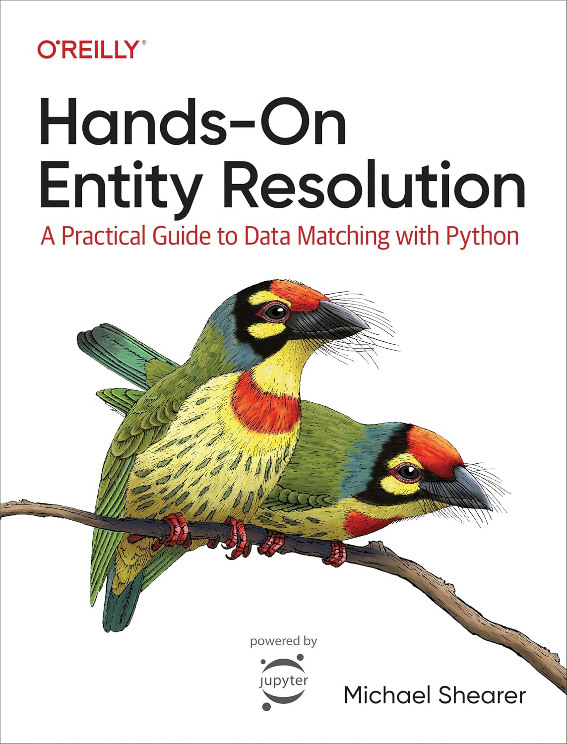 Hands-On Entity Resolution: A Practical Guide to Data Matching with Python cover
