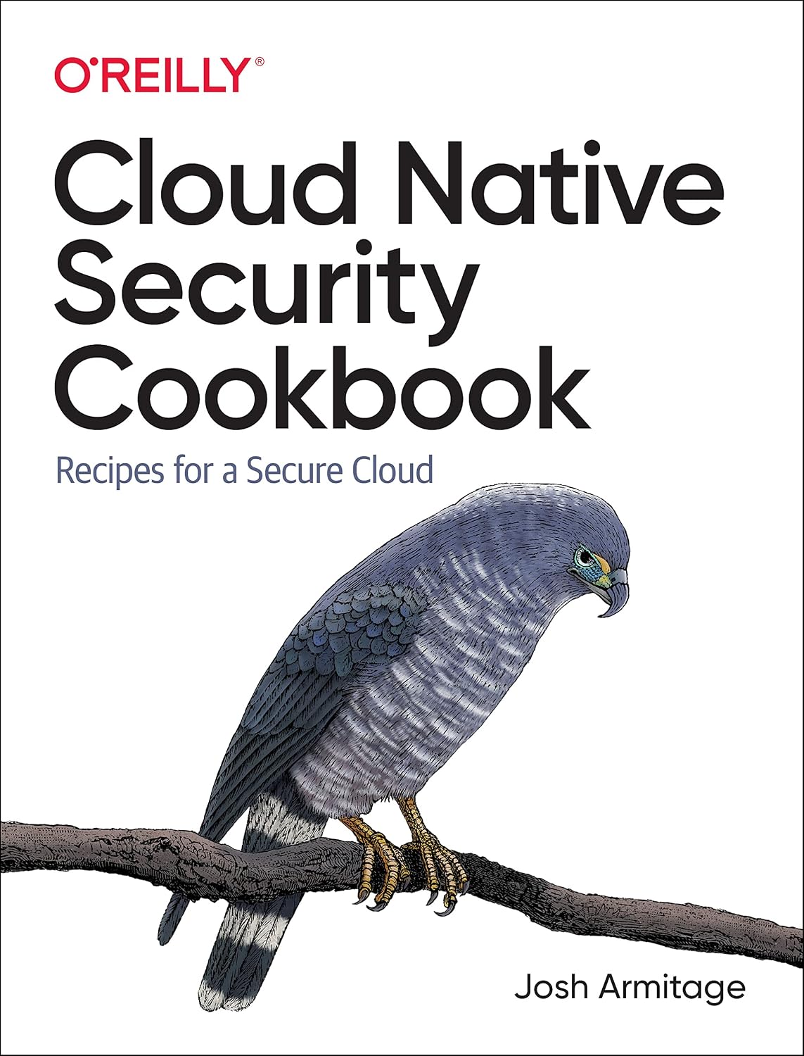 Cloud Native Security Cookbook: Recipes for a Secure Cloud cover