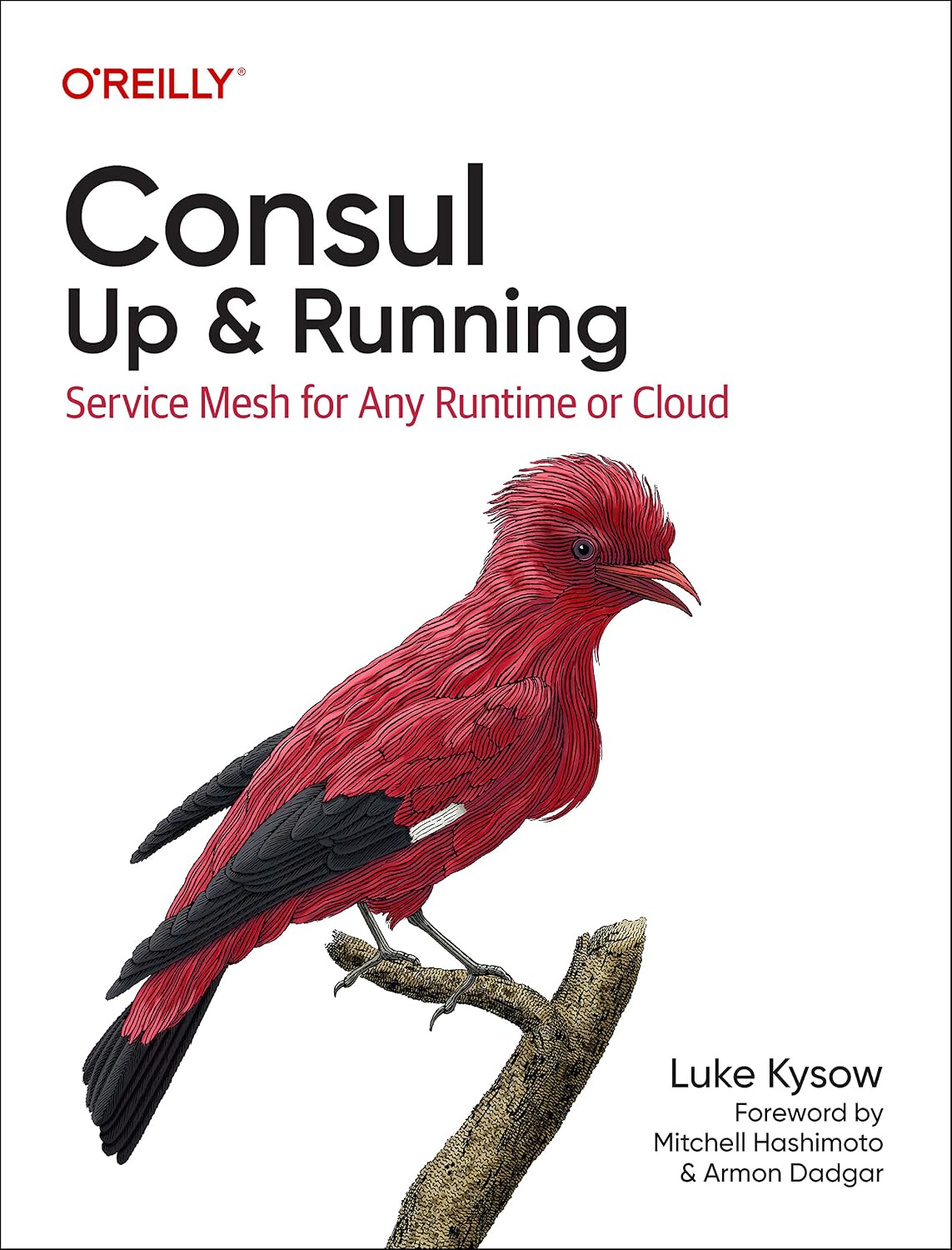 Consul: Up and Running: Service Mesh for Any Runtime or Cloud cover