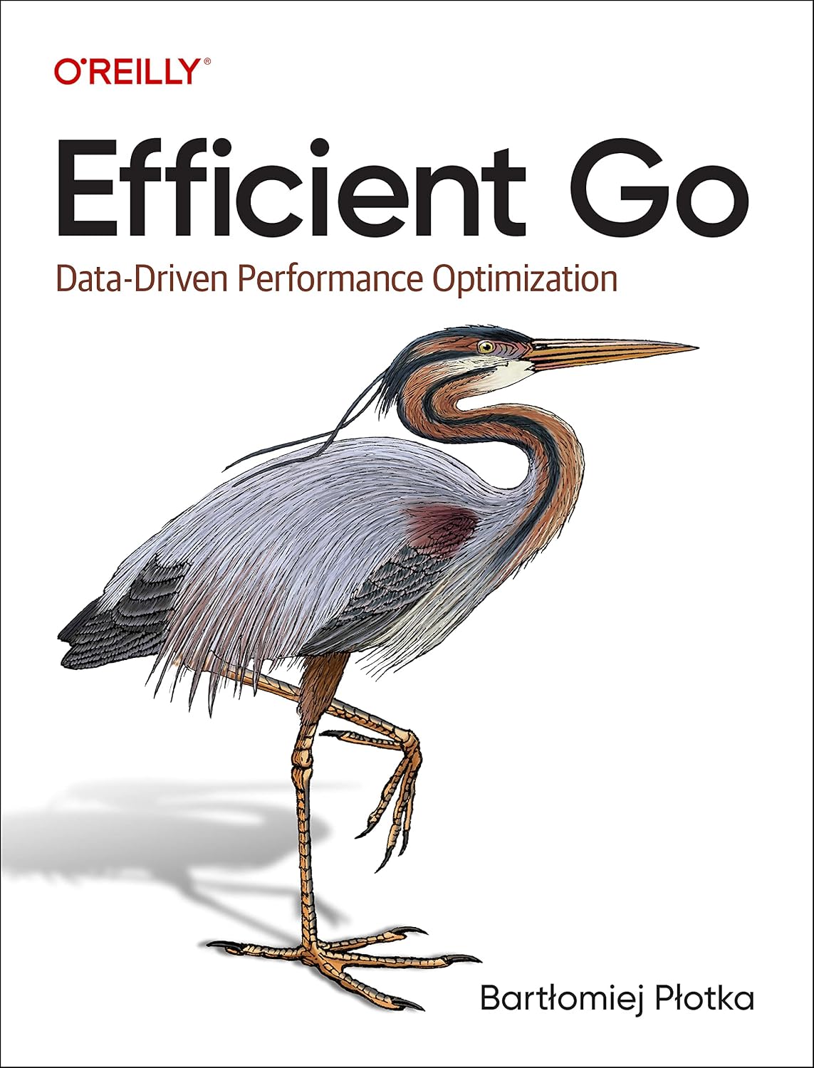 Efficient Go: Data-Driven Performance Optimization cover