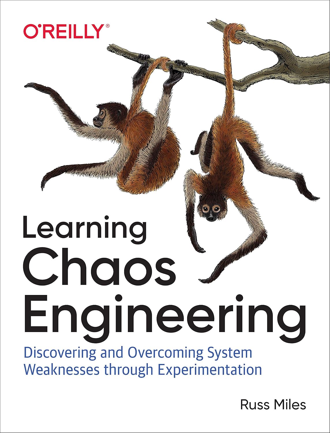 Learning Chaos Engineering: Discovering and Overcoming System Weaknesses Through Experimentation cover