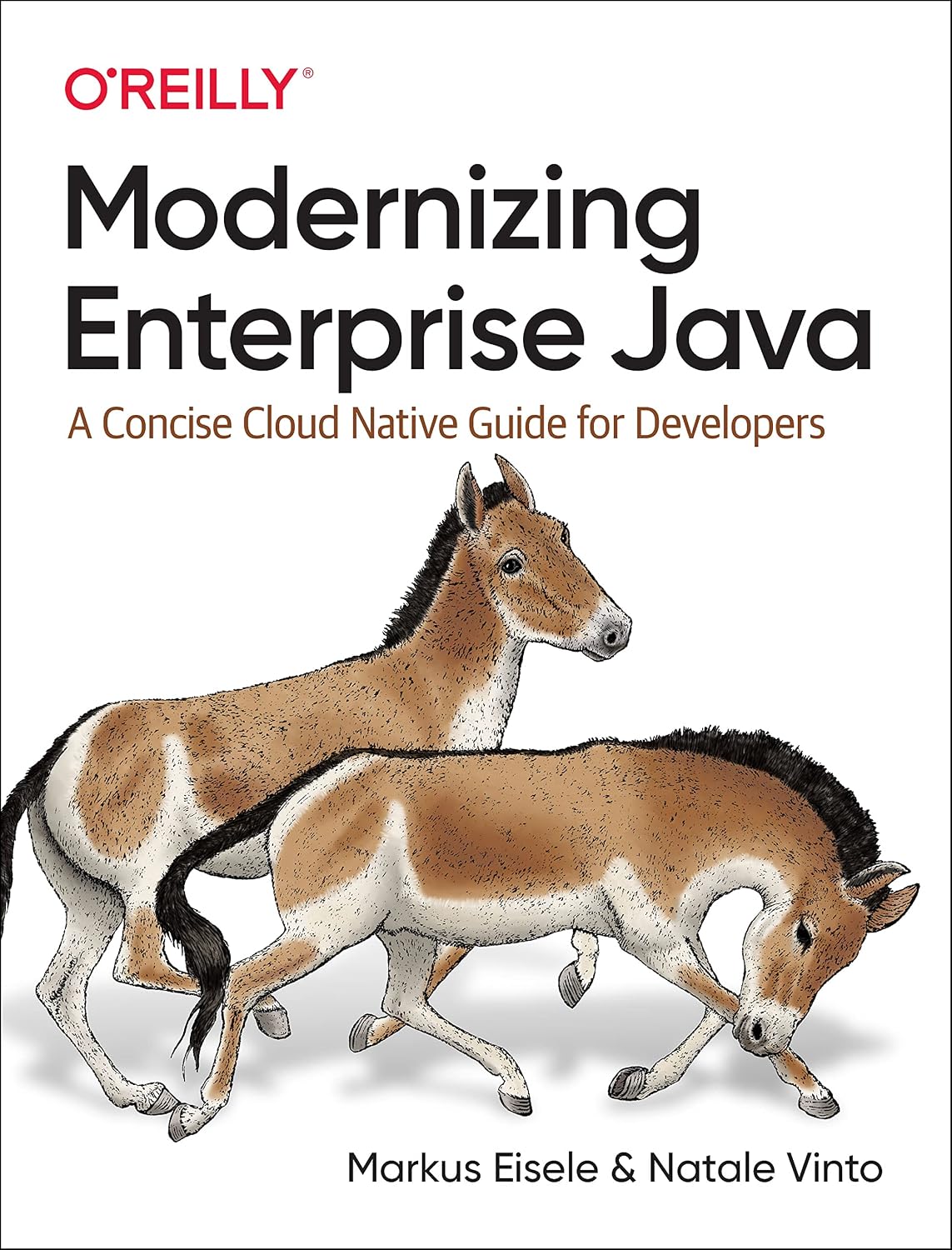 Modernizing Enterprise Java: A Concise Cloud Native Guide for Developers cover