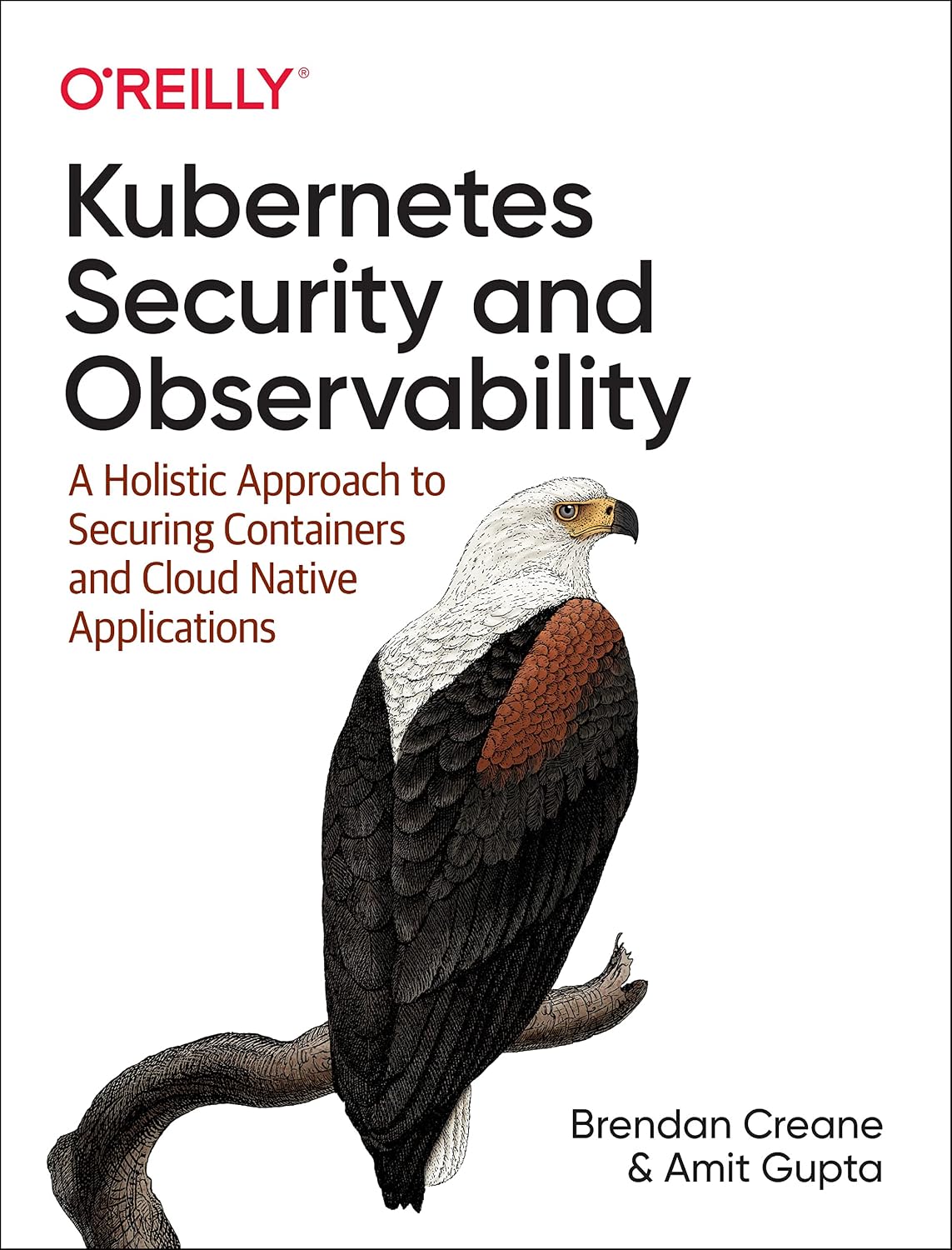 Kubernetes Security and Observability: A Holistic Approach to Securing Containers and Cloud Native Applications cover