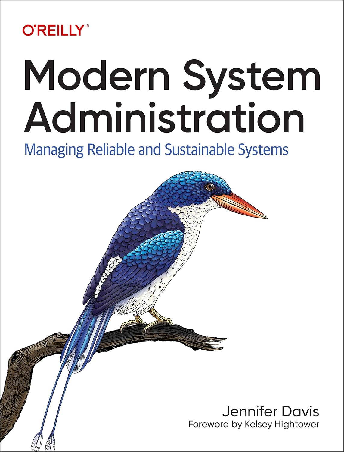 Modern System Administration: Managing Reliable and Sustainable Systems cover