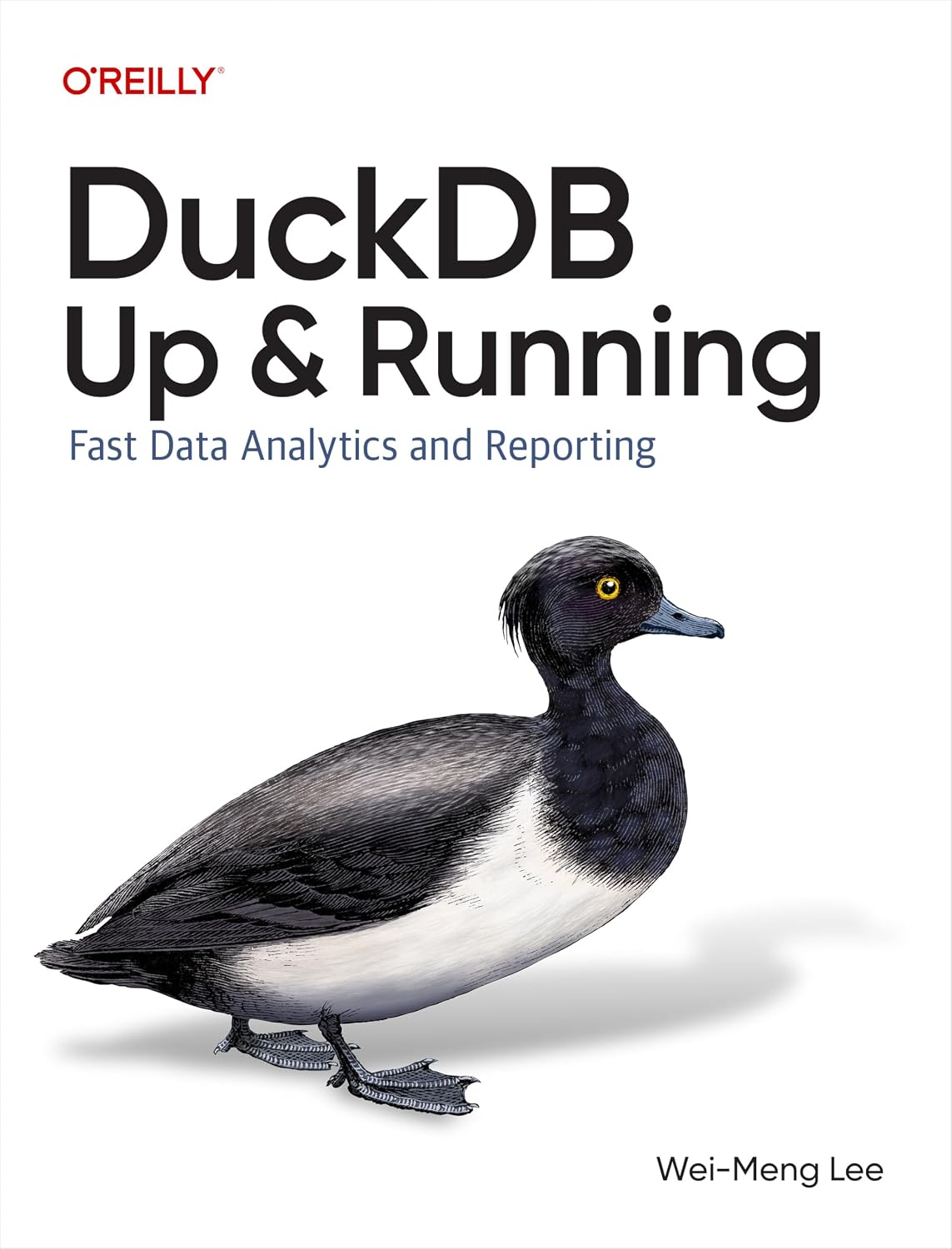 DuckDB: Up and Running: Fast Data Analytics and Reporting cover
