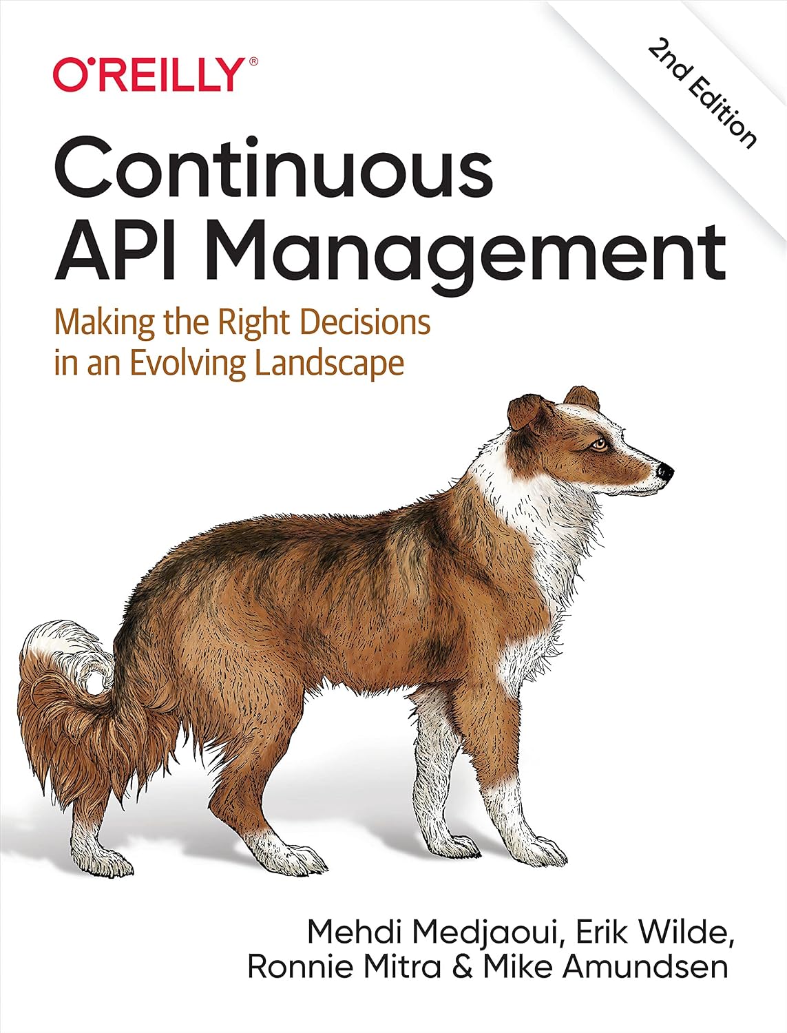 Continuous API Management: Making the Right Decisions in an Evolving Landscape cover