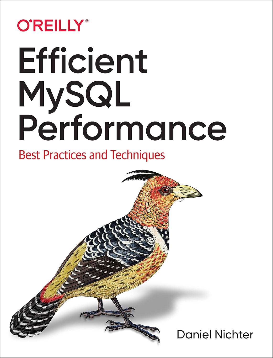 Efficient MySQL Performance: Best Practices and Techniques cover