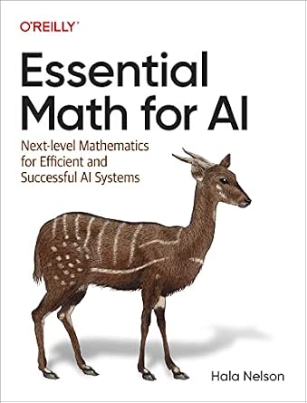 Essential Math for AI: Next-Level Mathematics for Efficient and Successful AI Systems cover