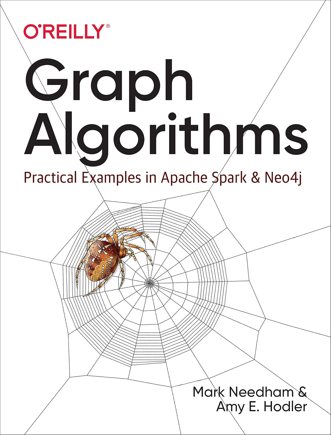 Graph Algorithms: Practical Examples in Apache Spark and Neo4j cover